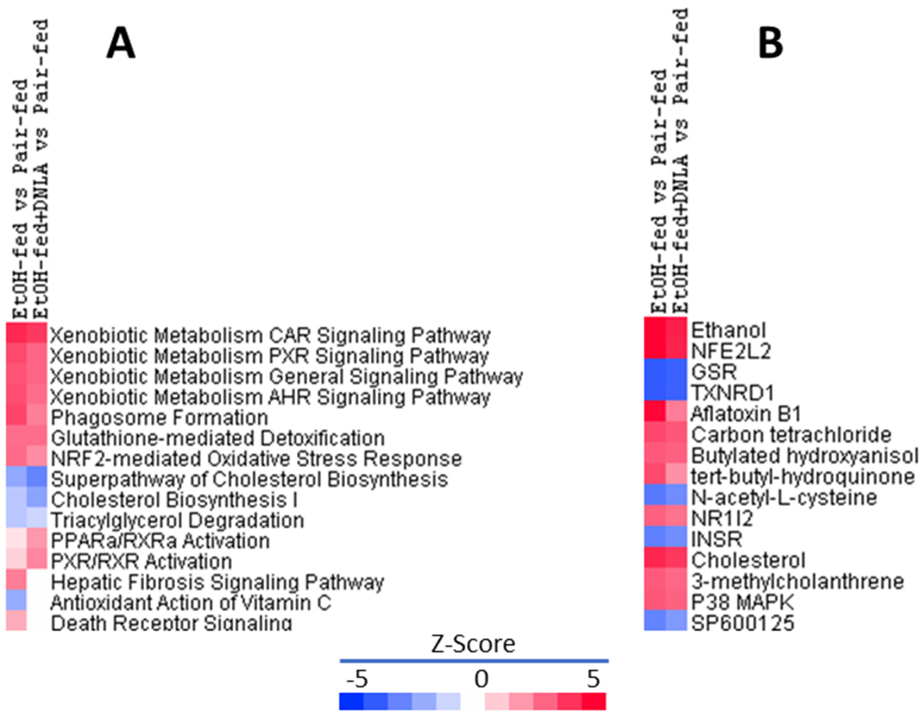 Biomedicines 10 02800 g006 Biomedicines 10 02800 g006
