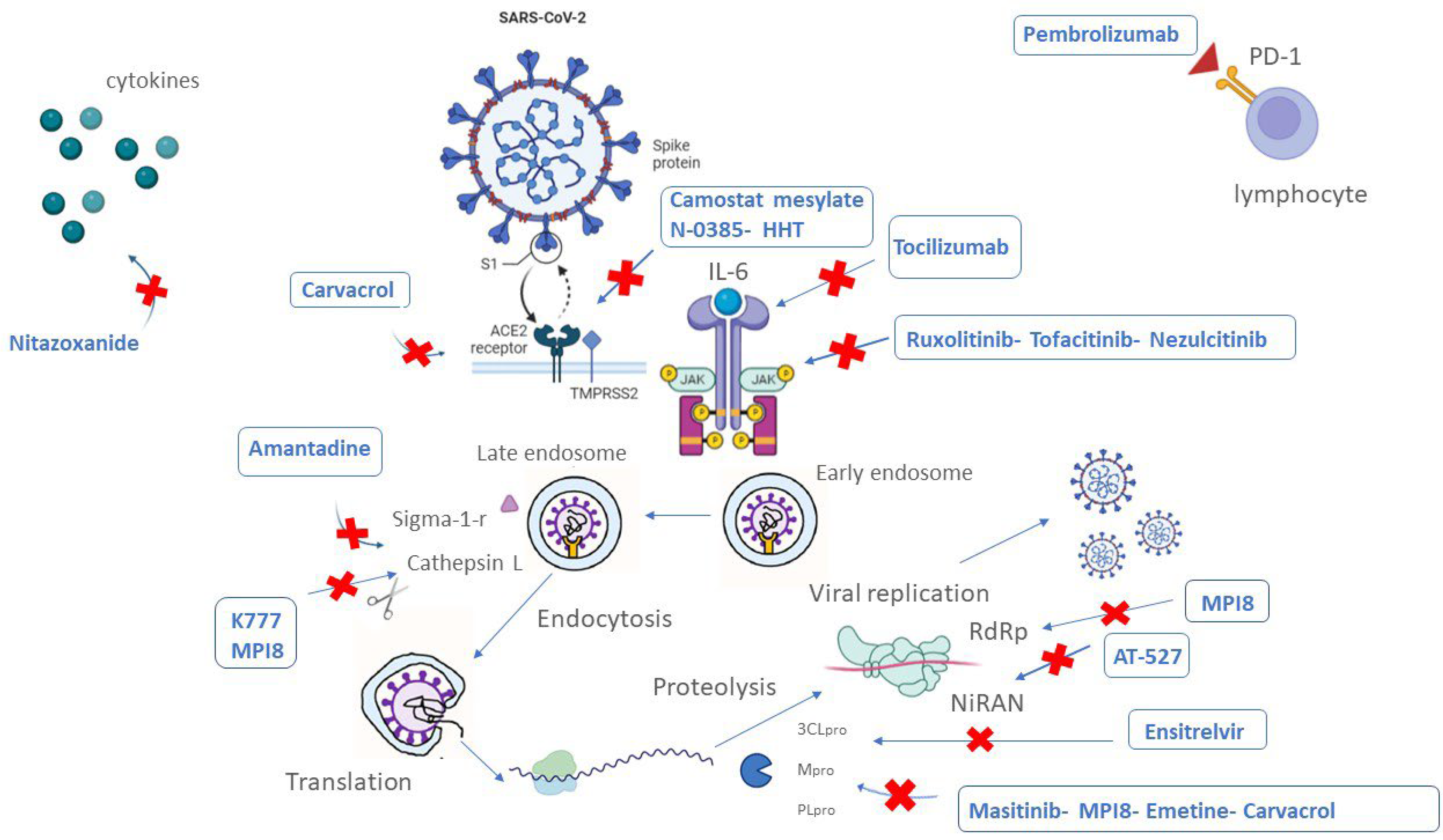 Biomedicines Free Full Text Overview Of Antiviral Drug Therapy For Covid Where Do We Stand