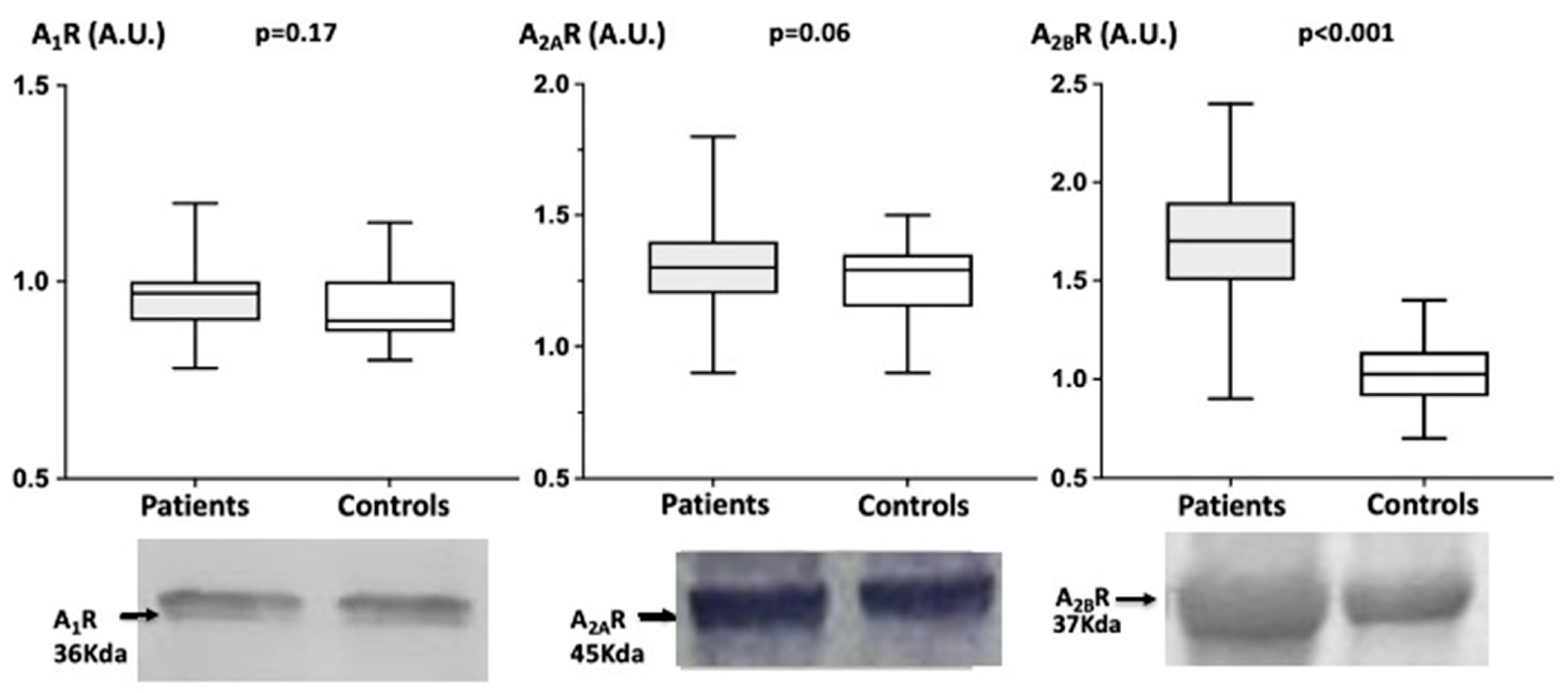 Biomedicines 10 02831 g002 Biomedicines 10 02831 g002
