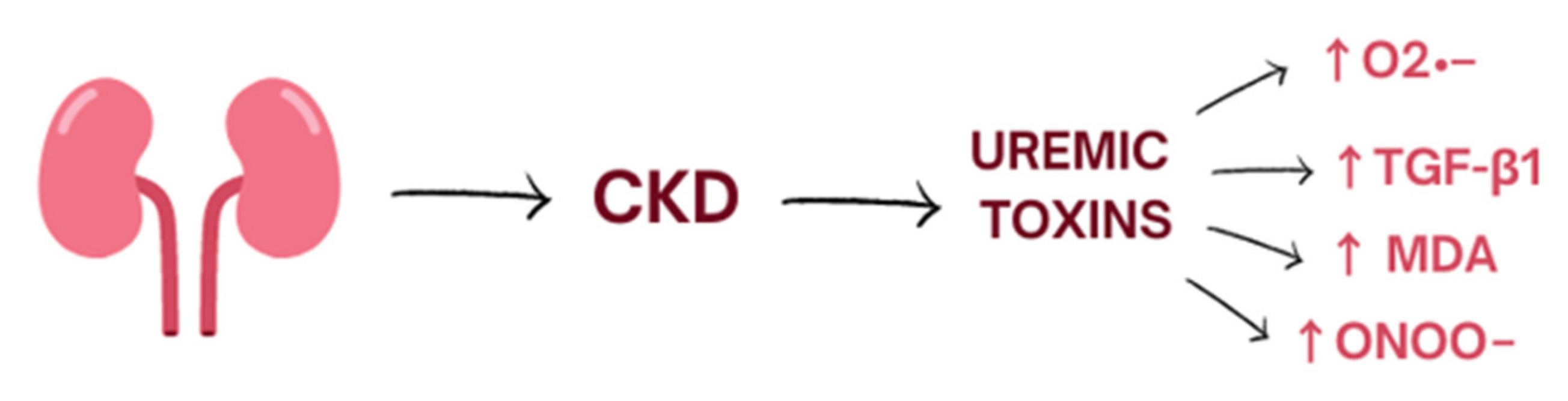 Biomedicines 10 02846 g001