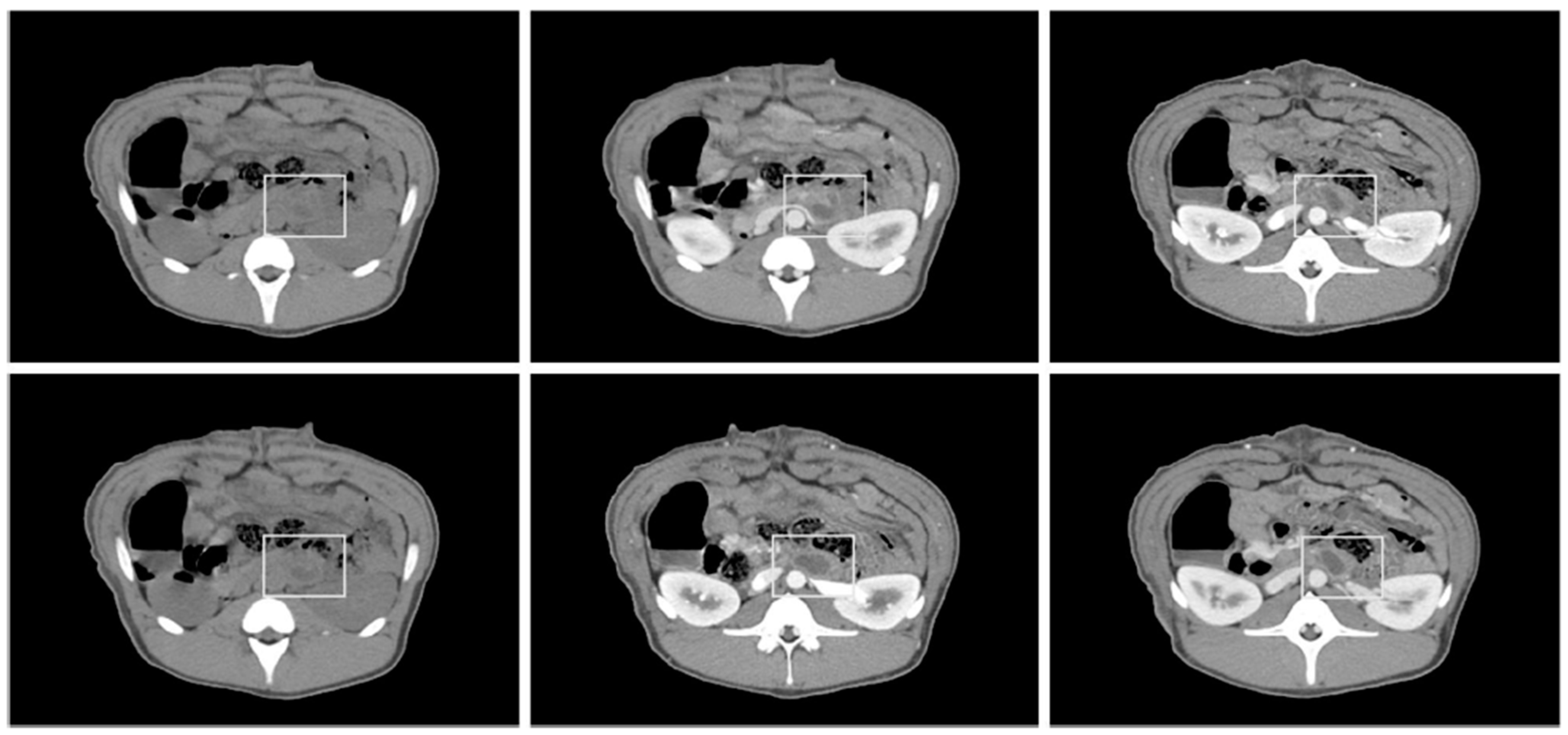 Biomedicines 10 02895 g002 Biomedicines 10 02895 g002