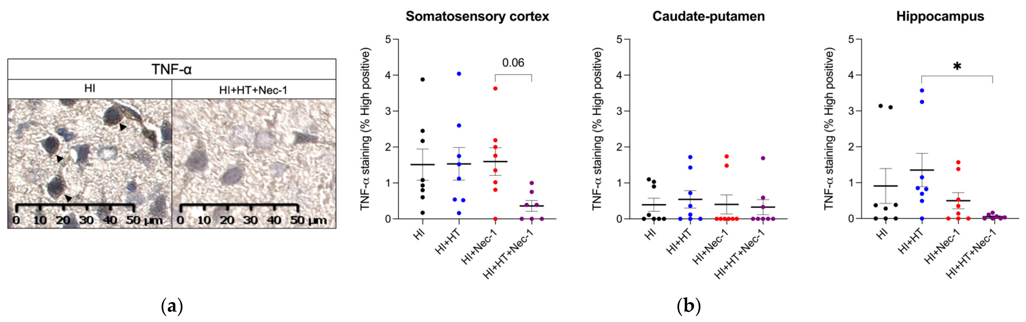Biomedicines 10 02913 g002 Biomedicines 10 02913 g002