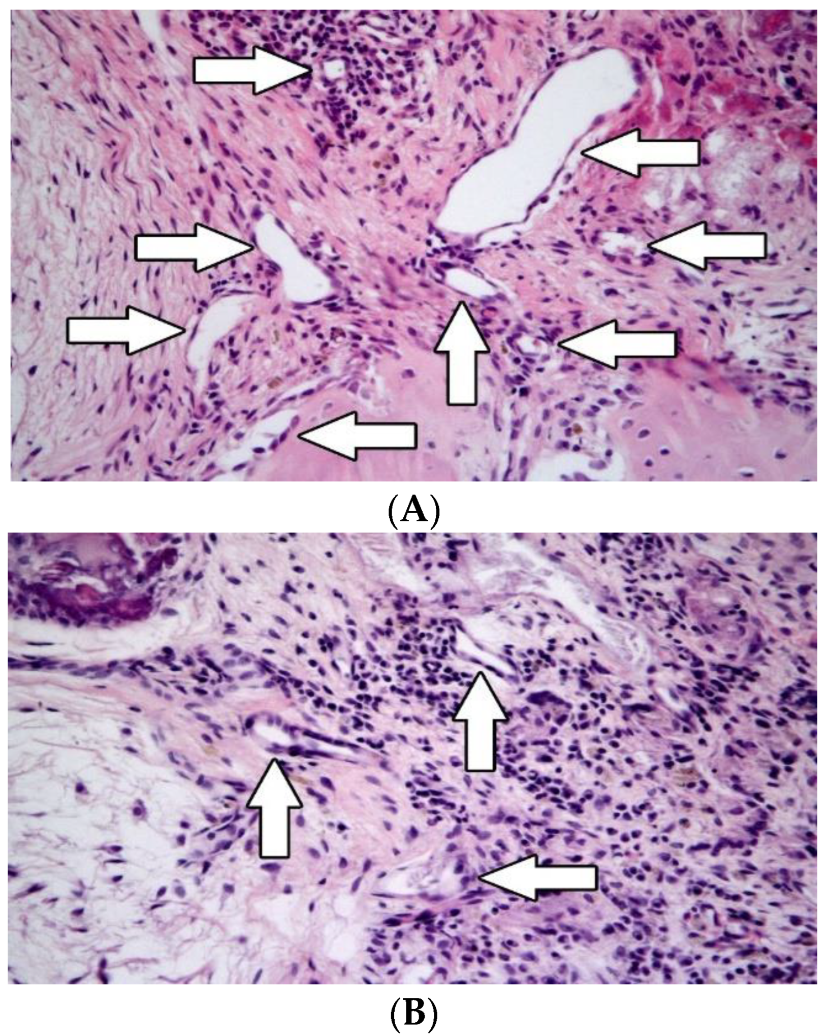 Biomedicines 10 02918 g003 Biomedicines 10 02918 g003