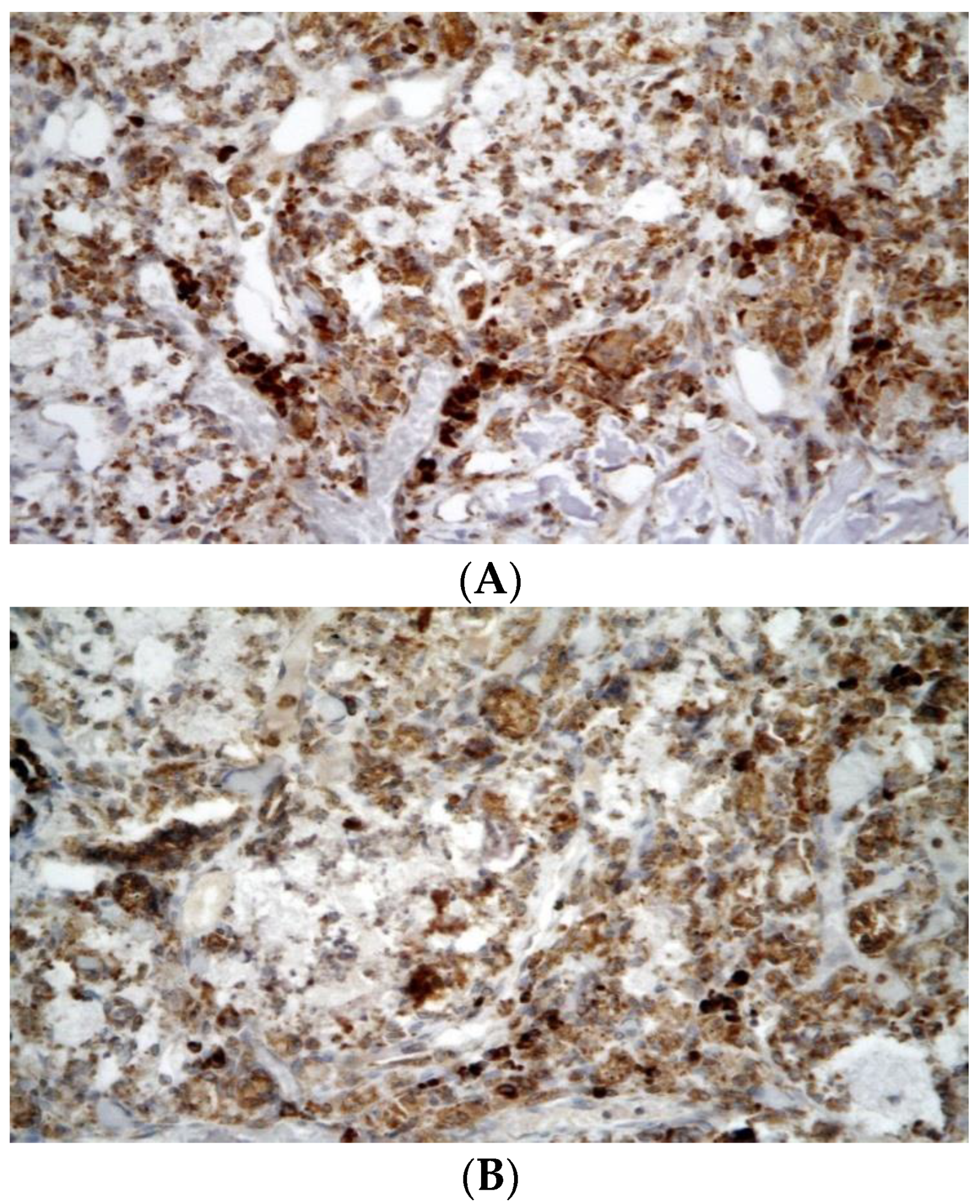 Biomedicines 10 02918 g005 Biomedicines 10 02918 g005