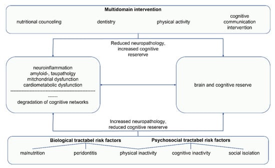 Biomedicines, Free Full-Text