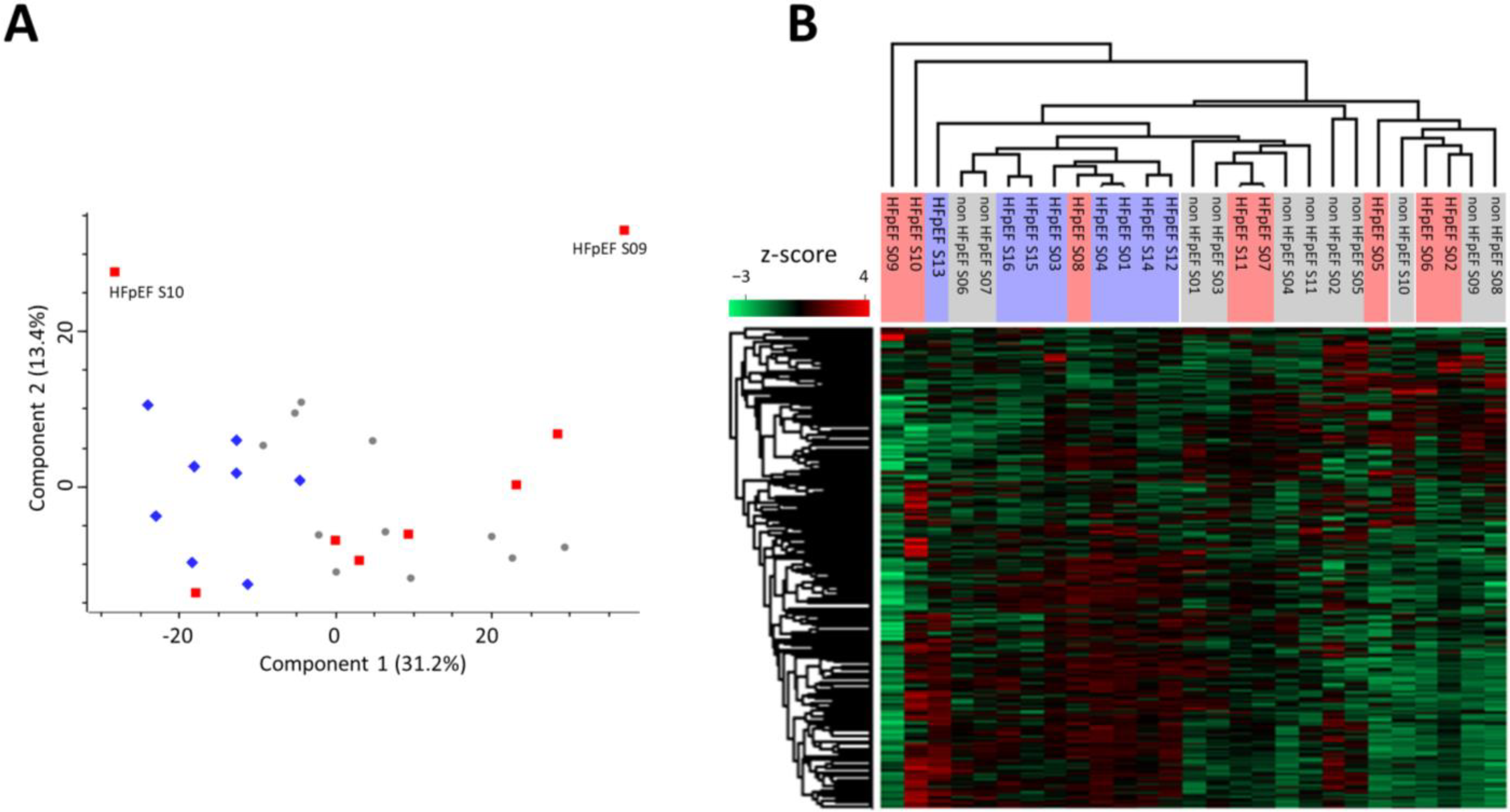 Biomedicines 10 02943 g001 Biomedicines 10 02943 g001