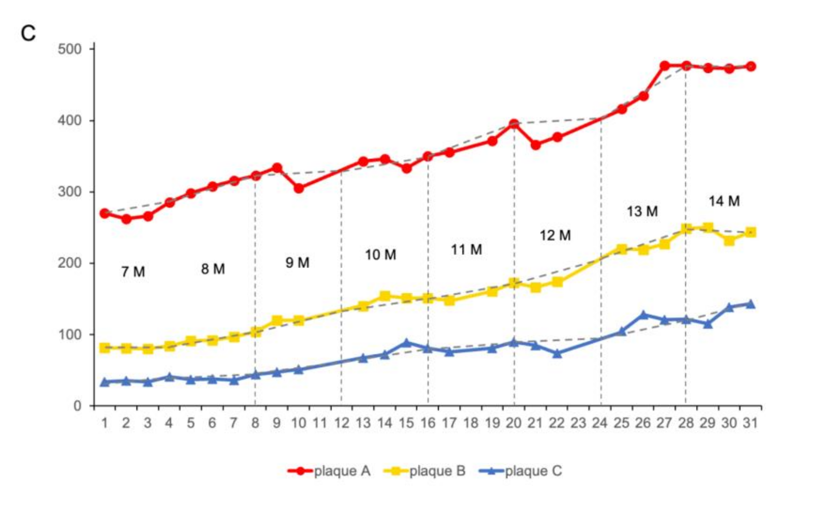 Biomedicines 10 02949 g005b