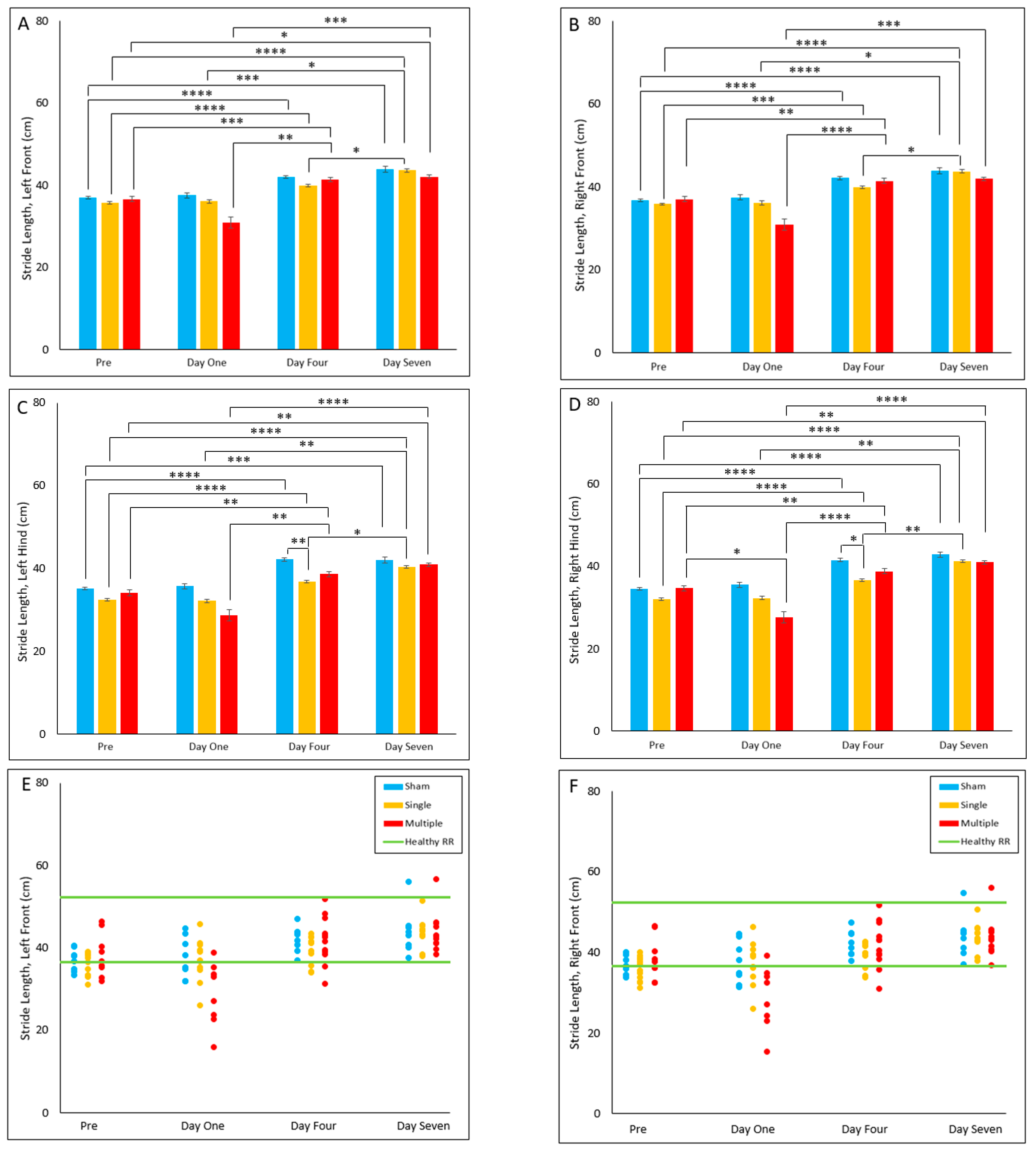 Biomedicines 10 02976 g007a Biomedicines 10 02976 g007a