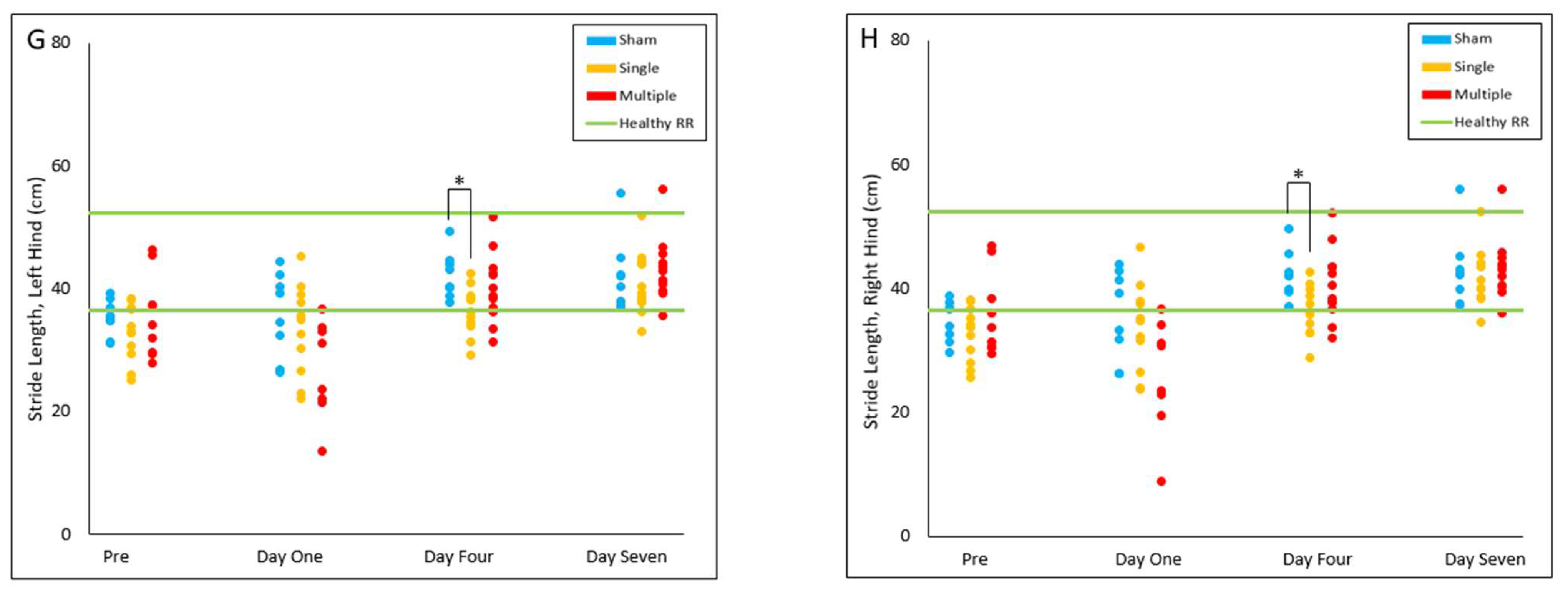 Biomedicines 10 02976 g007b Biomedicines 10 02976 g007b