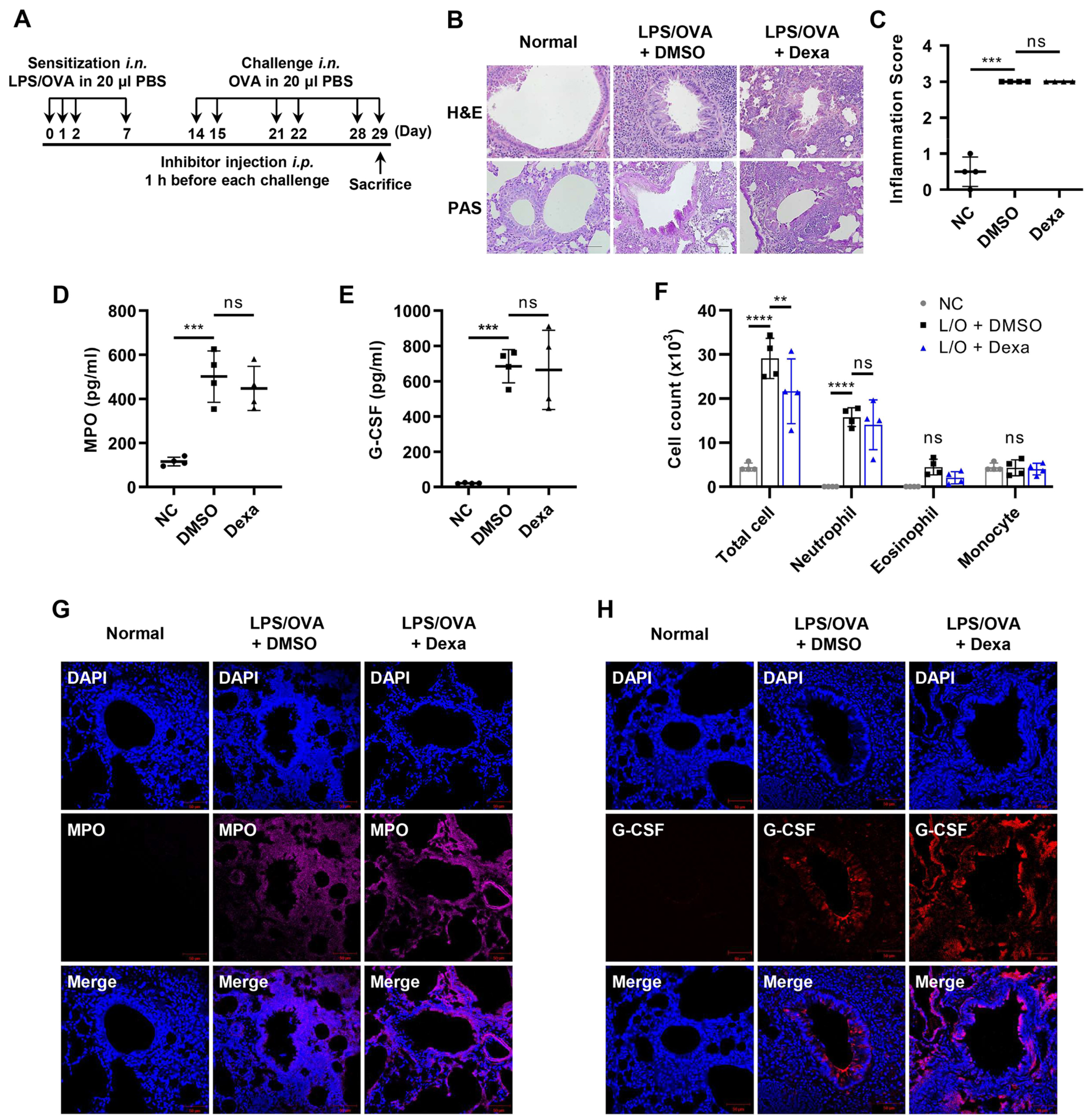 Biomedicines 10 02979 g001 Biomedicines 10 02979 g001