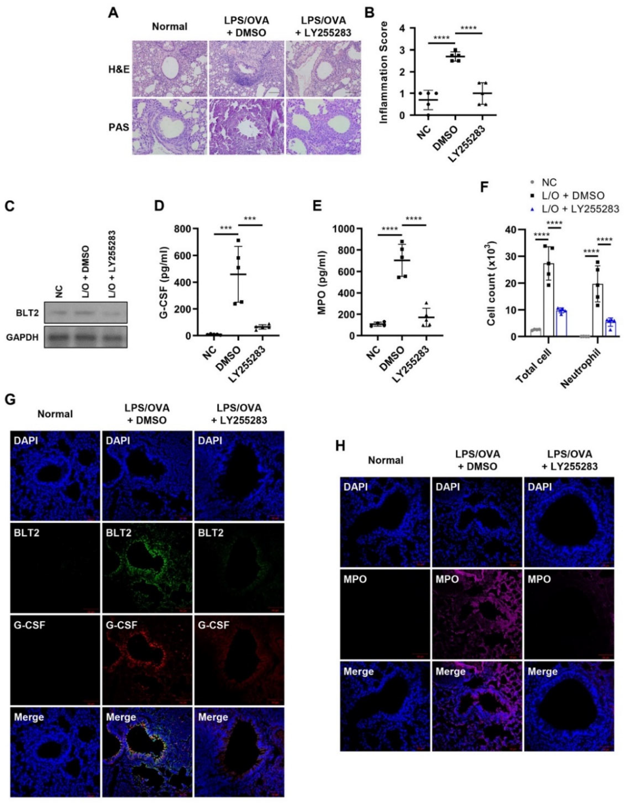 Biomedicines 10 02979 g003 Biomedicines 10 02979 g003