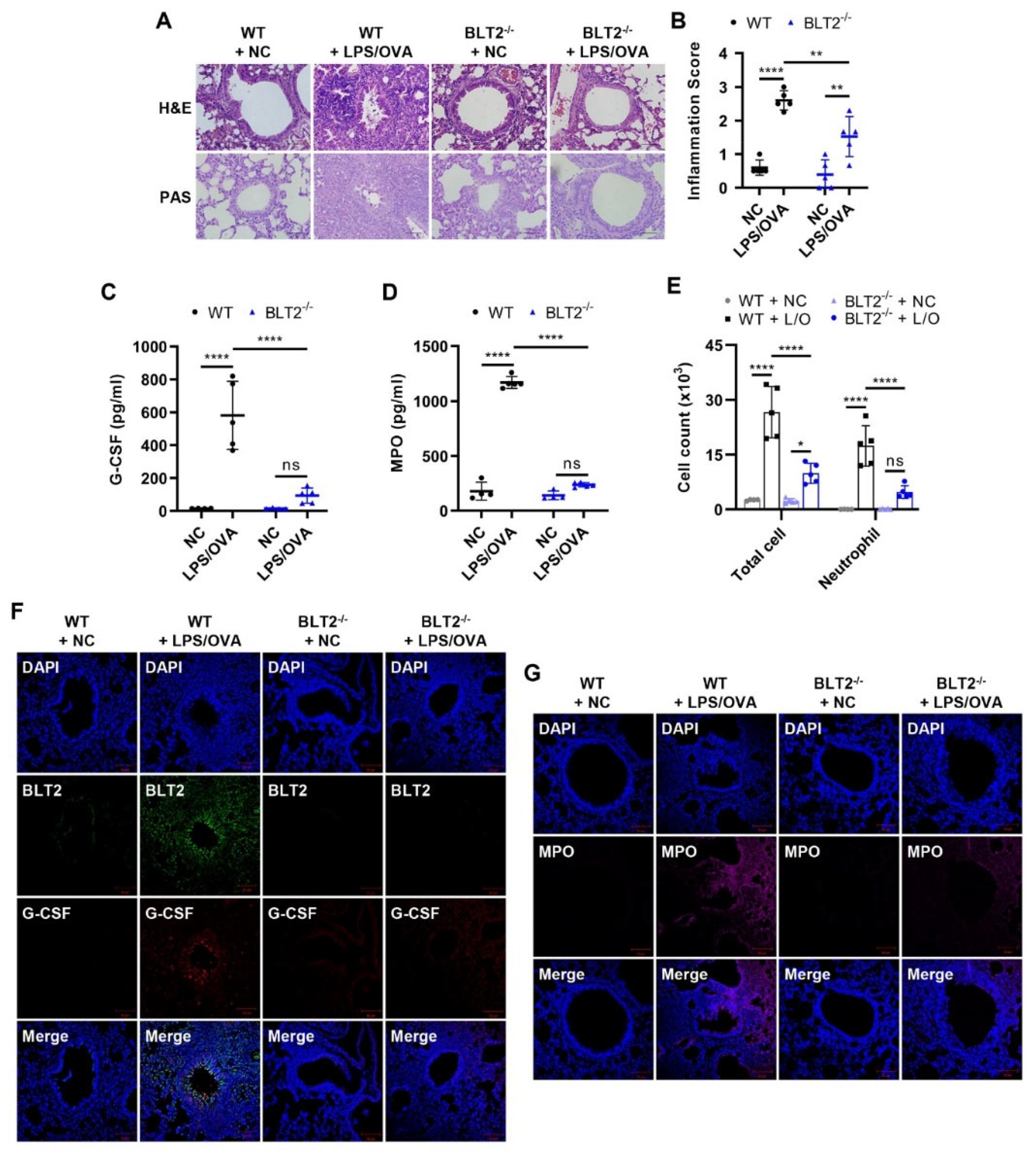 Biomedicines 10 02979 g004 Biomedicines 10 02979 g004