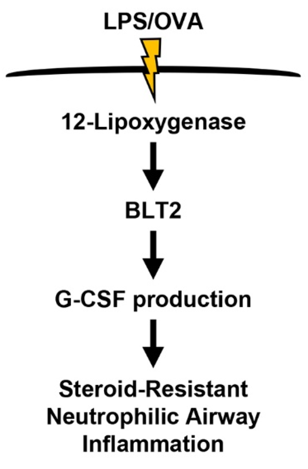 Biomedicines 10 02979 g006 Biomedicines 10 02979 g006