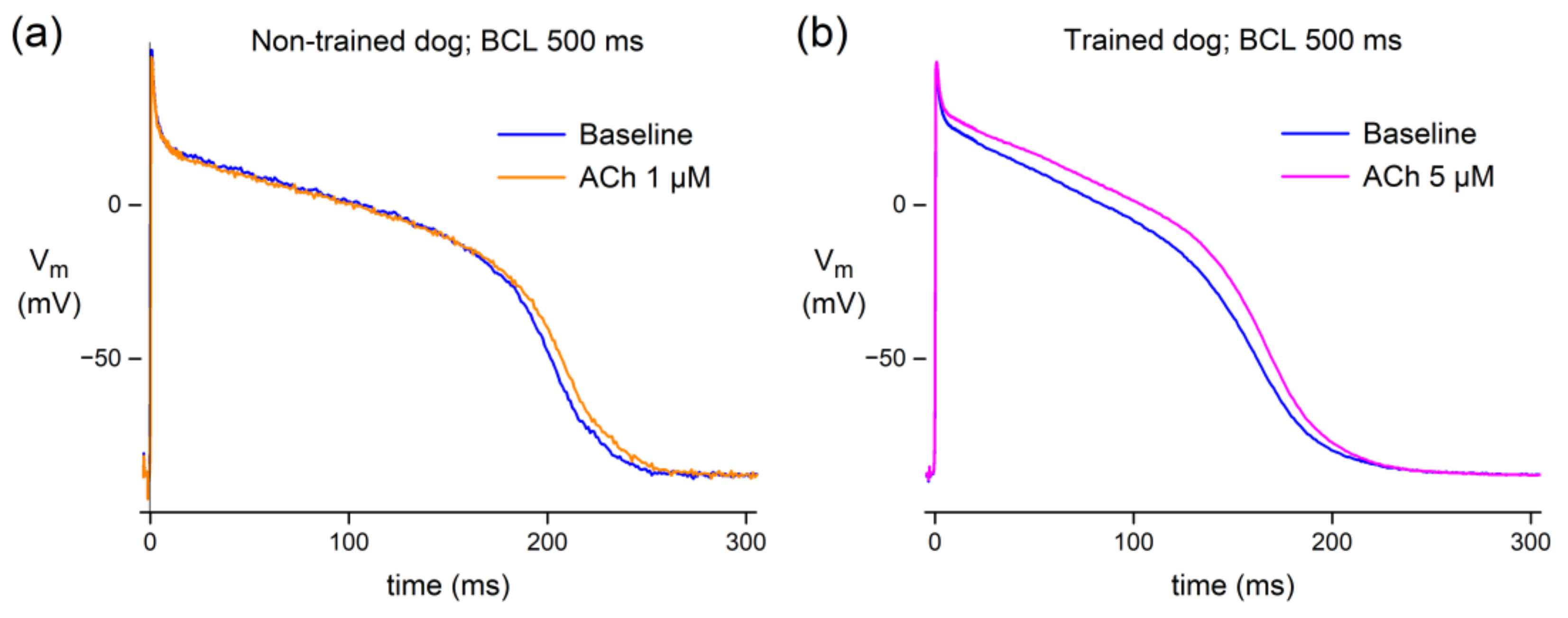 biomedicines-free-full-text-acetylcholine-reduces-l-type-calcium