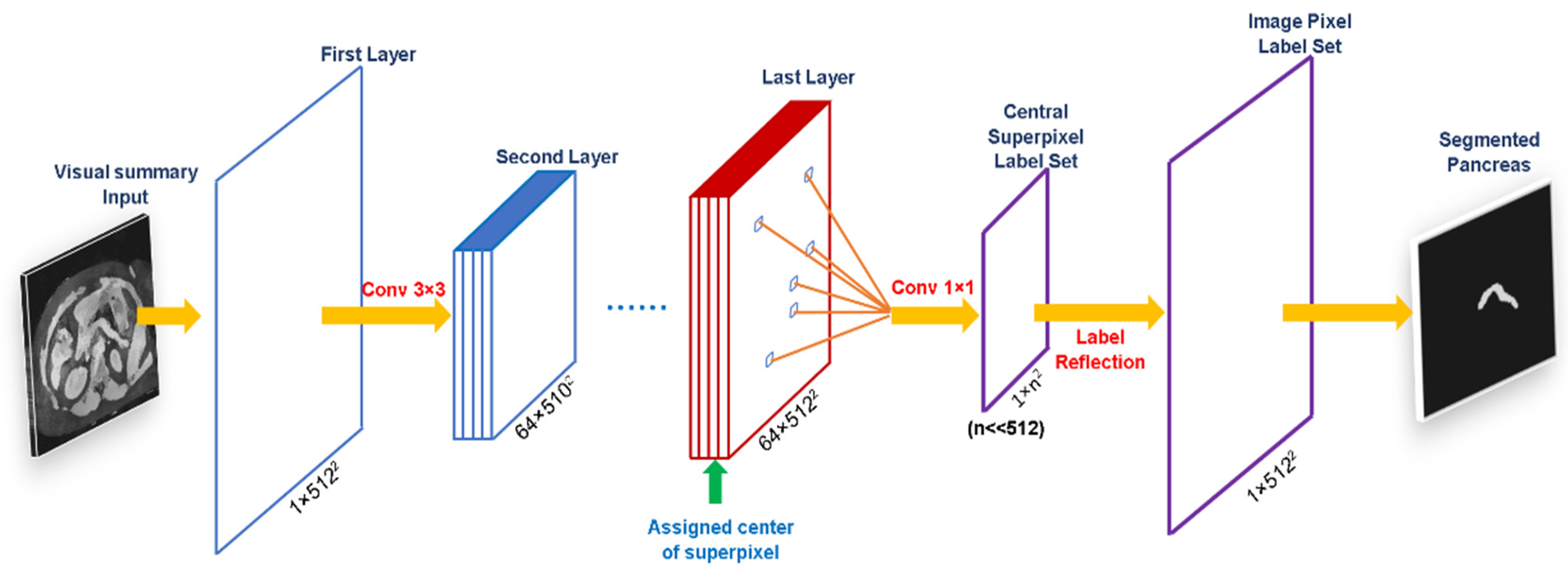 Biomedicines 10 02991 g002 Biomedicines 10 02991 g002