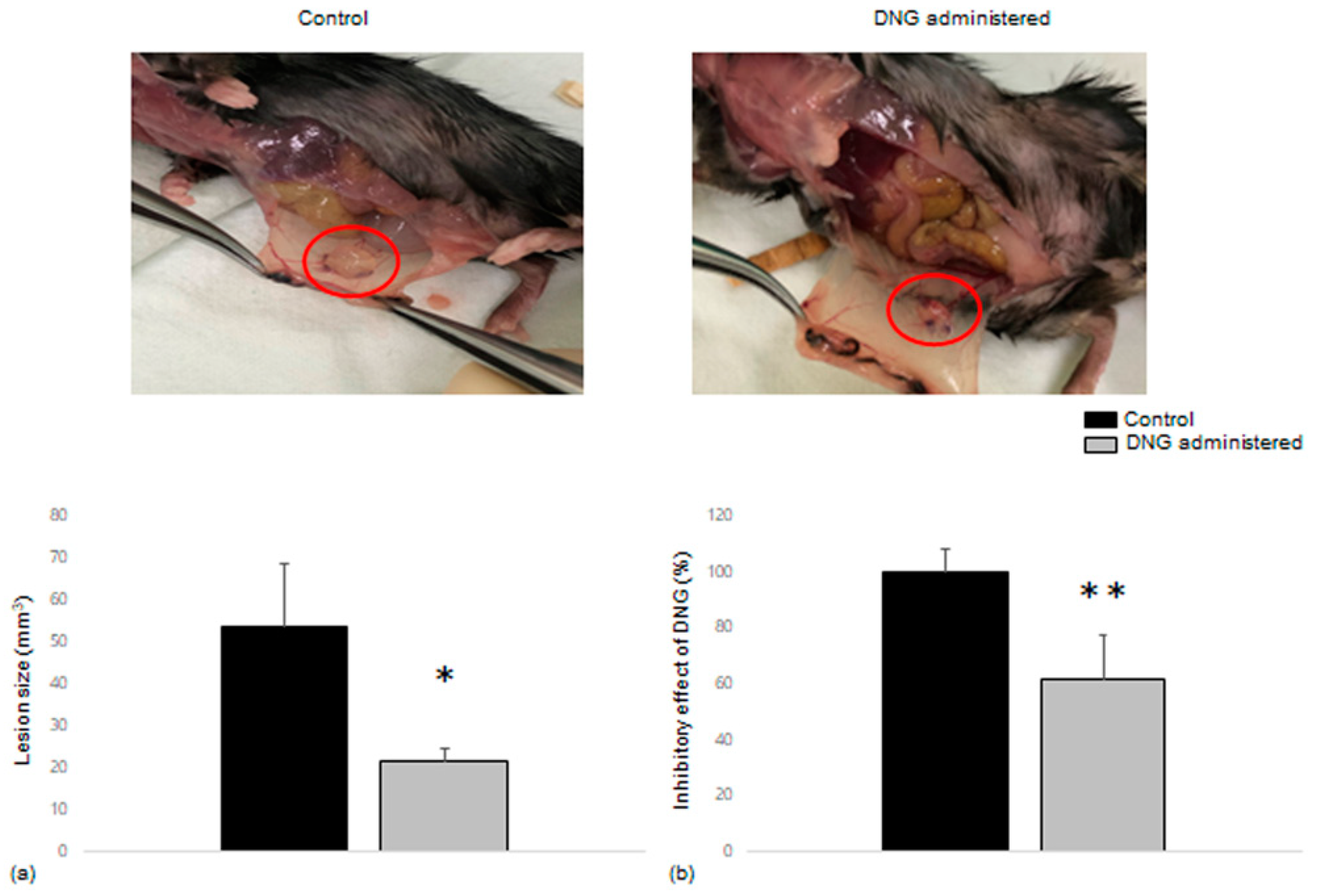 Biomedicines 10 02992 g005