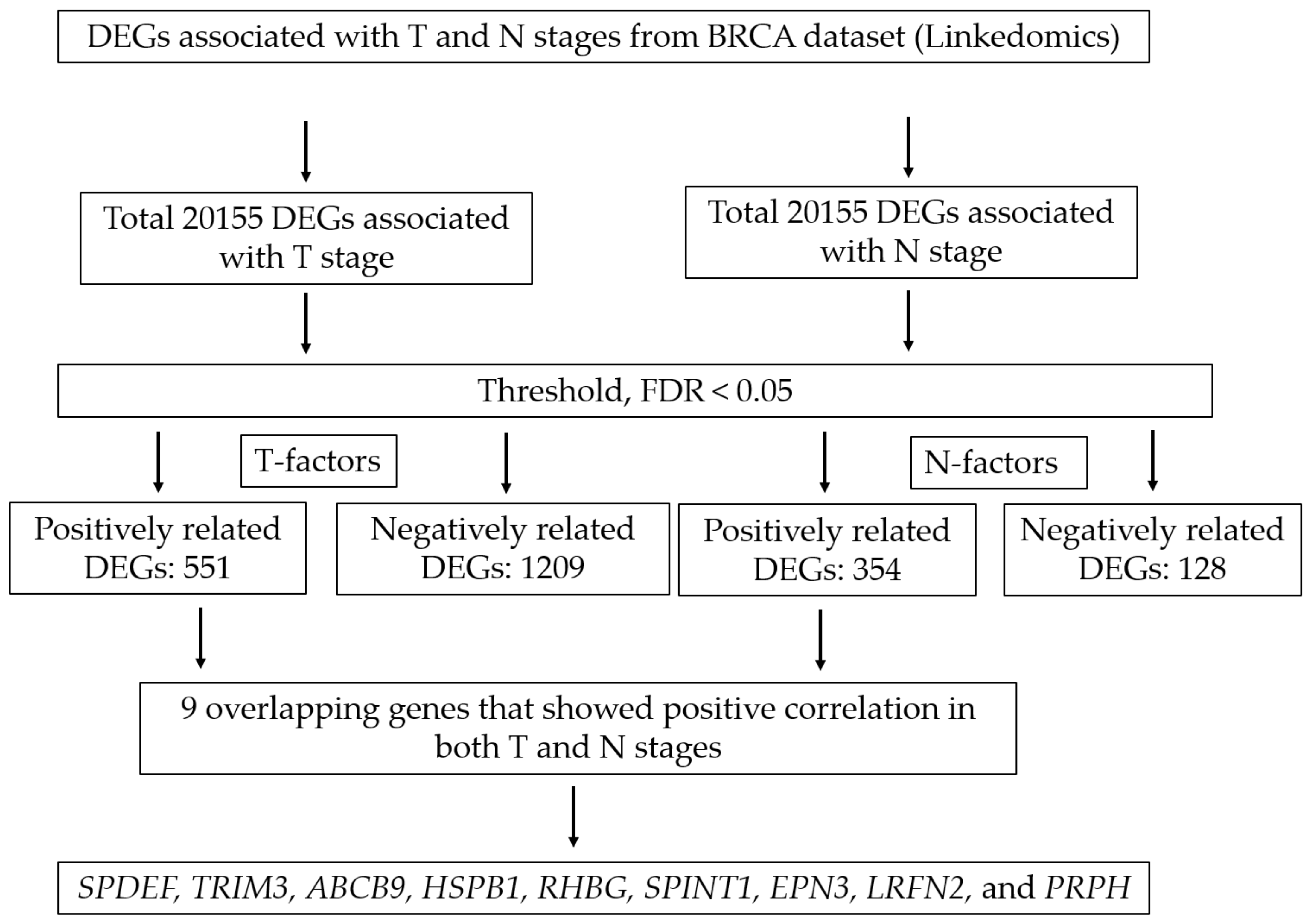 Biomedicines 10 02995 g001