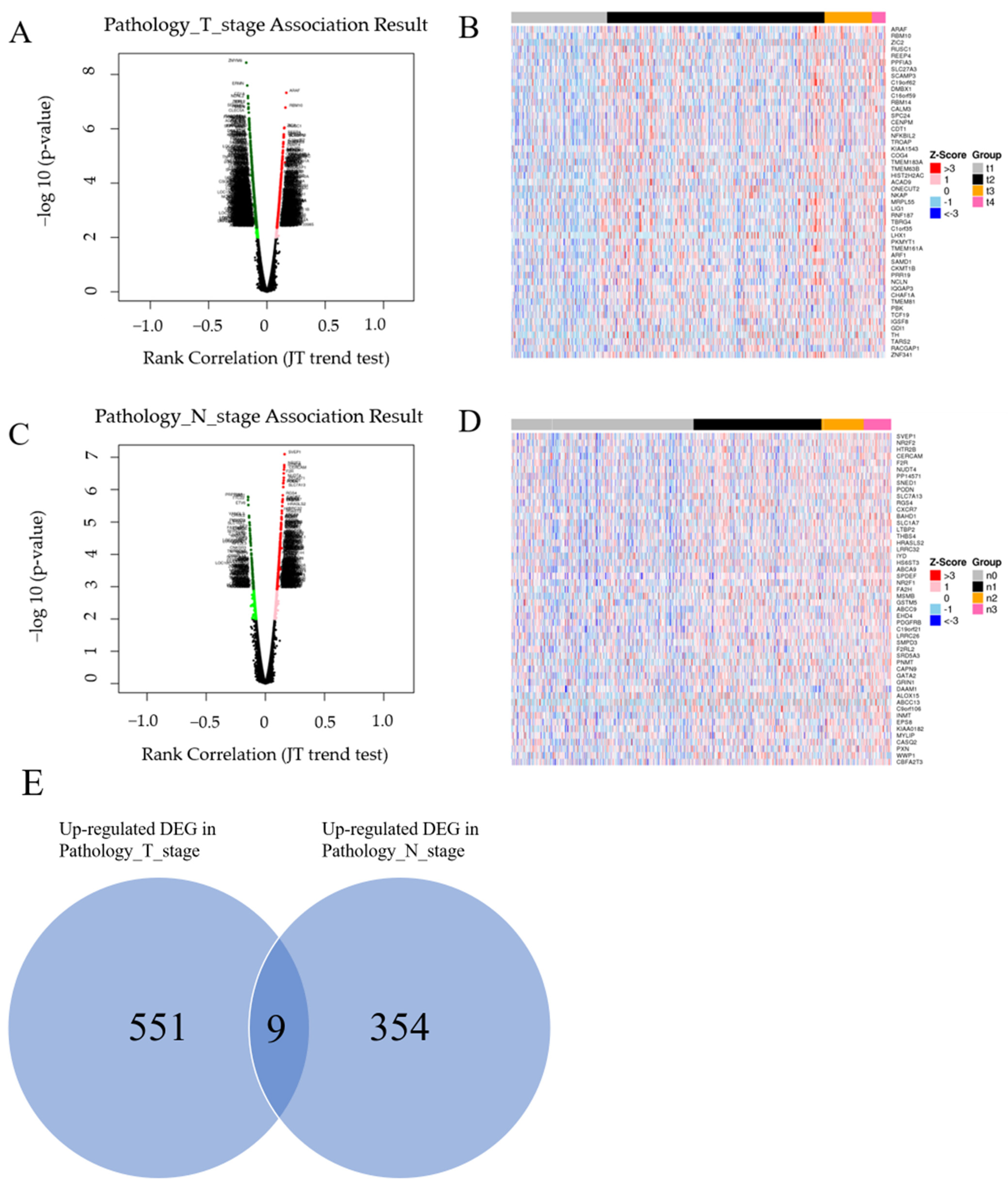 Biomedicines 10 02995 g002