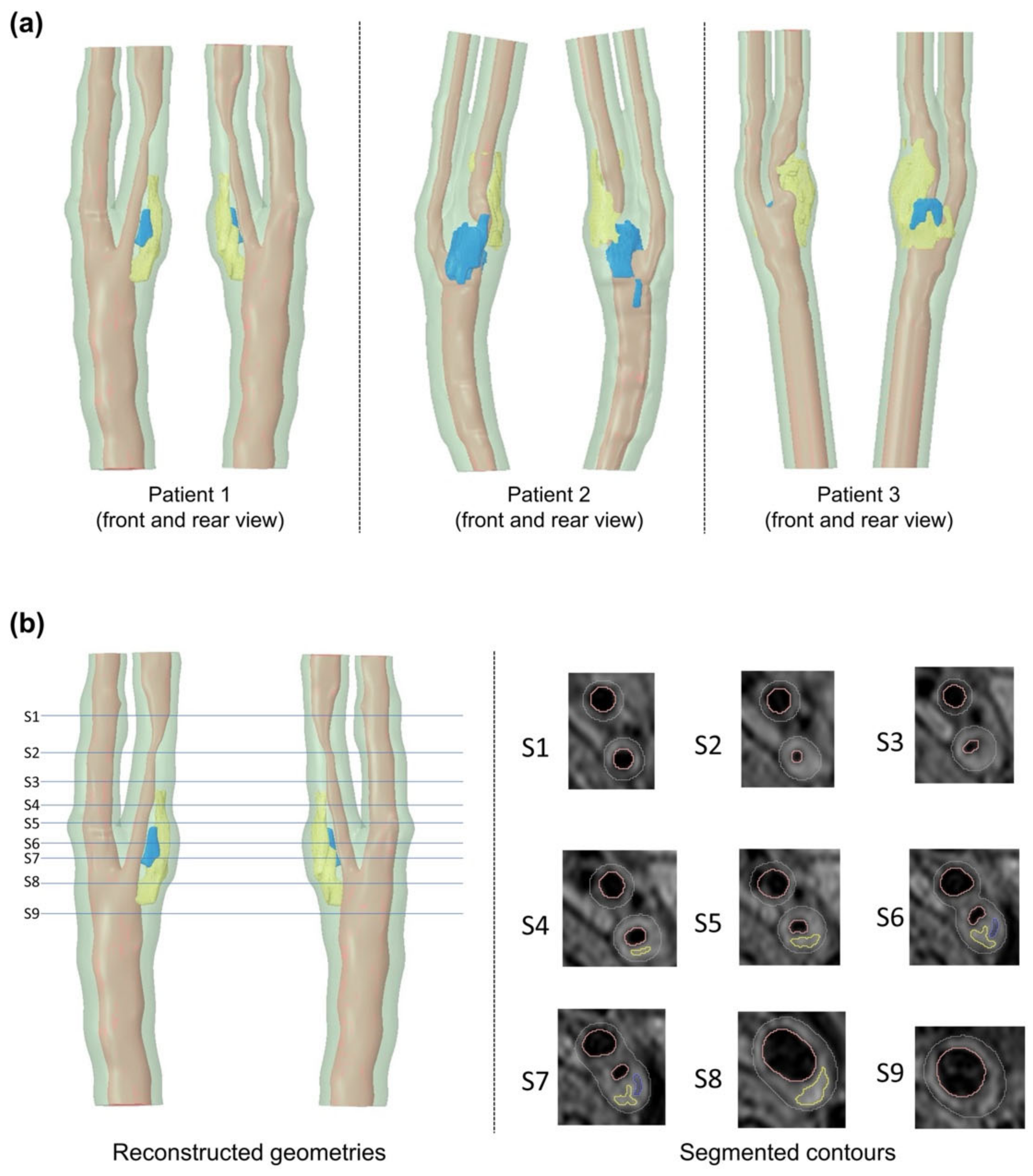 Biomedicines 10 03038 g002