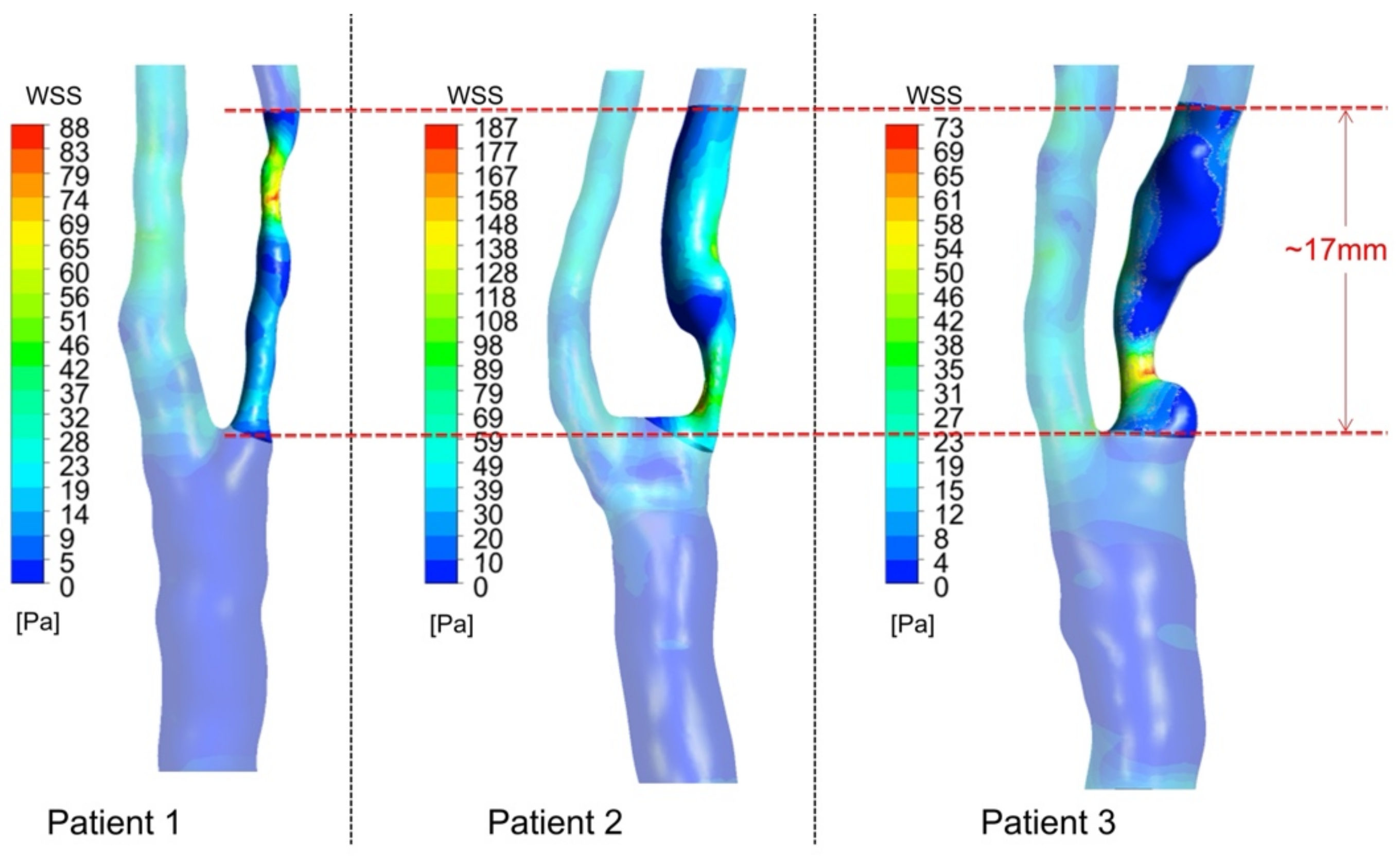 Biomedicines 10 03038 g004
