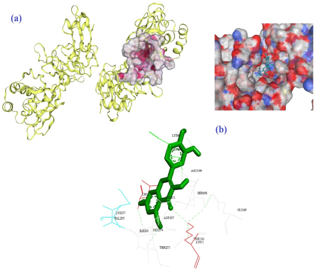 Biomedicines 10 03074 g006 Biomedicines 10 03074 g006