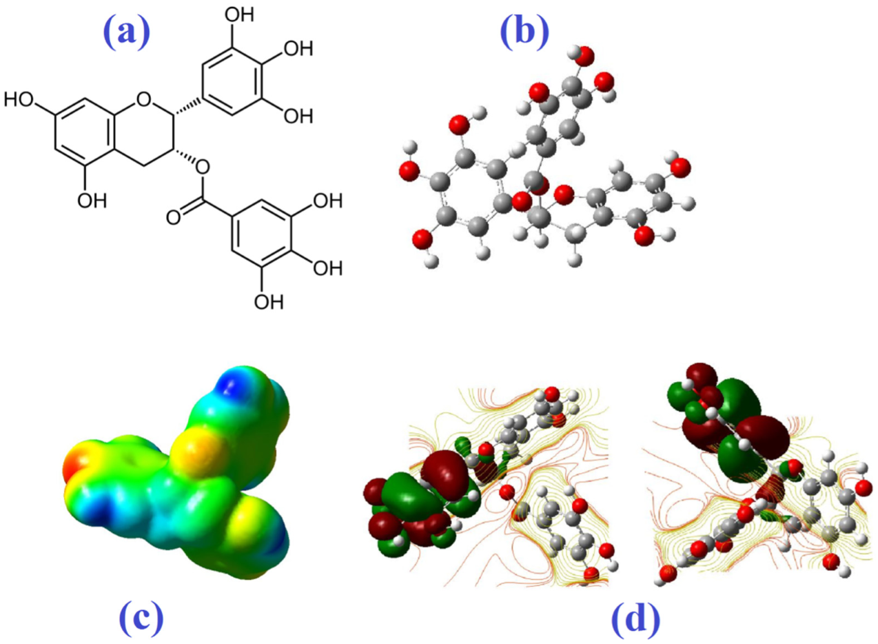 Biomedicines 10 03074 g008 Biomedicines 10 03074 g008