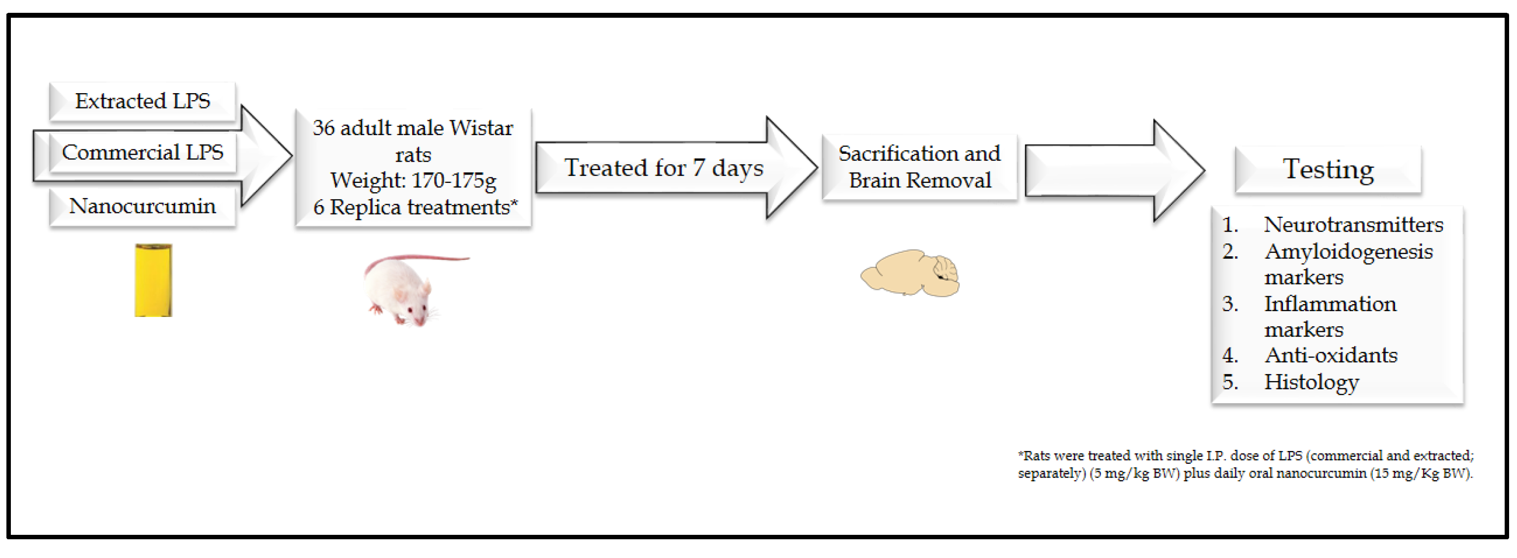 Biomedicines 10 03087 g001