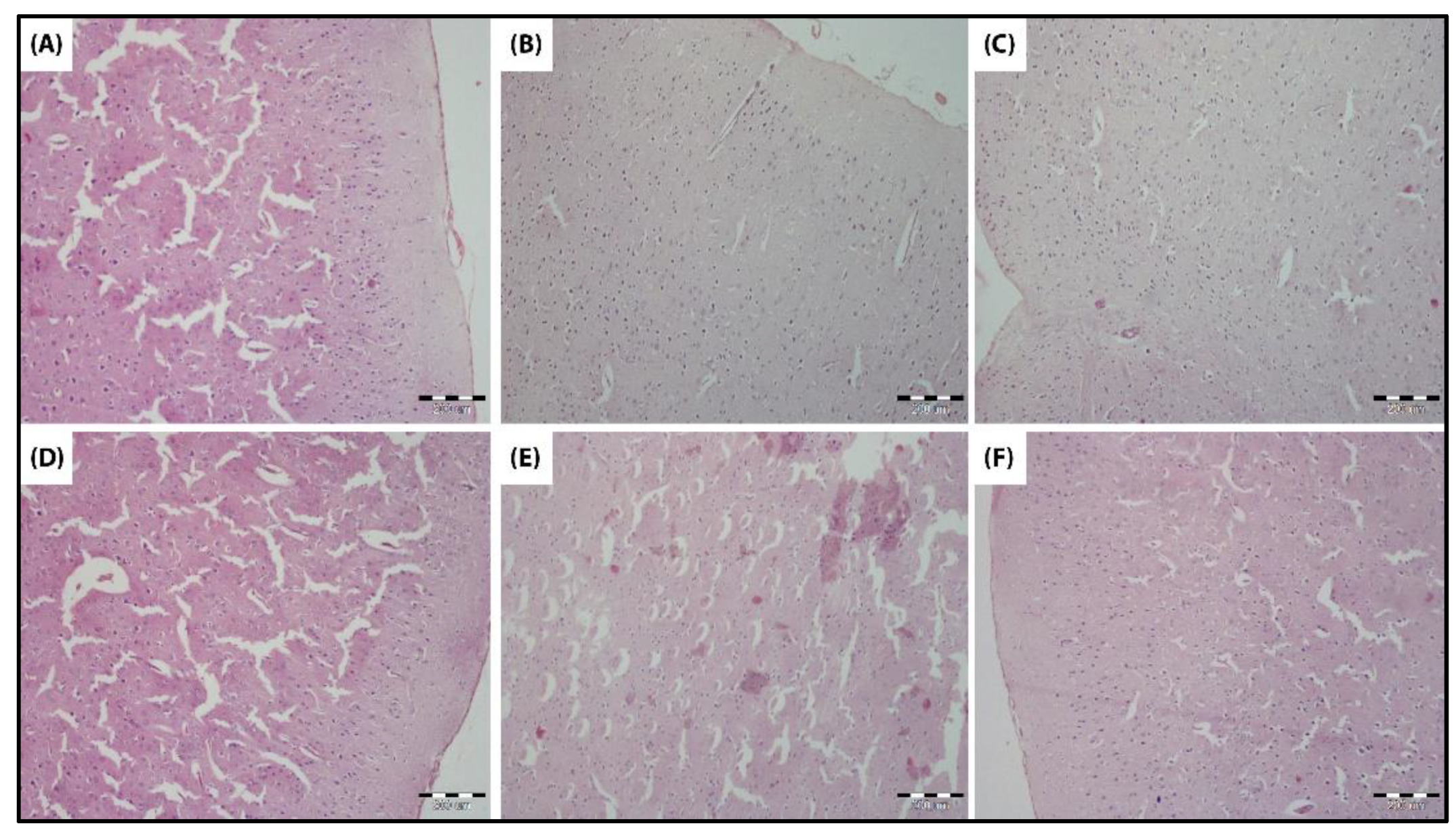 Biomedicines 10 03087 g011