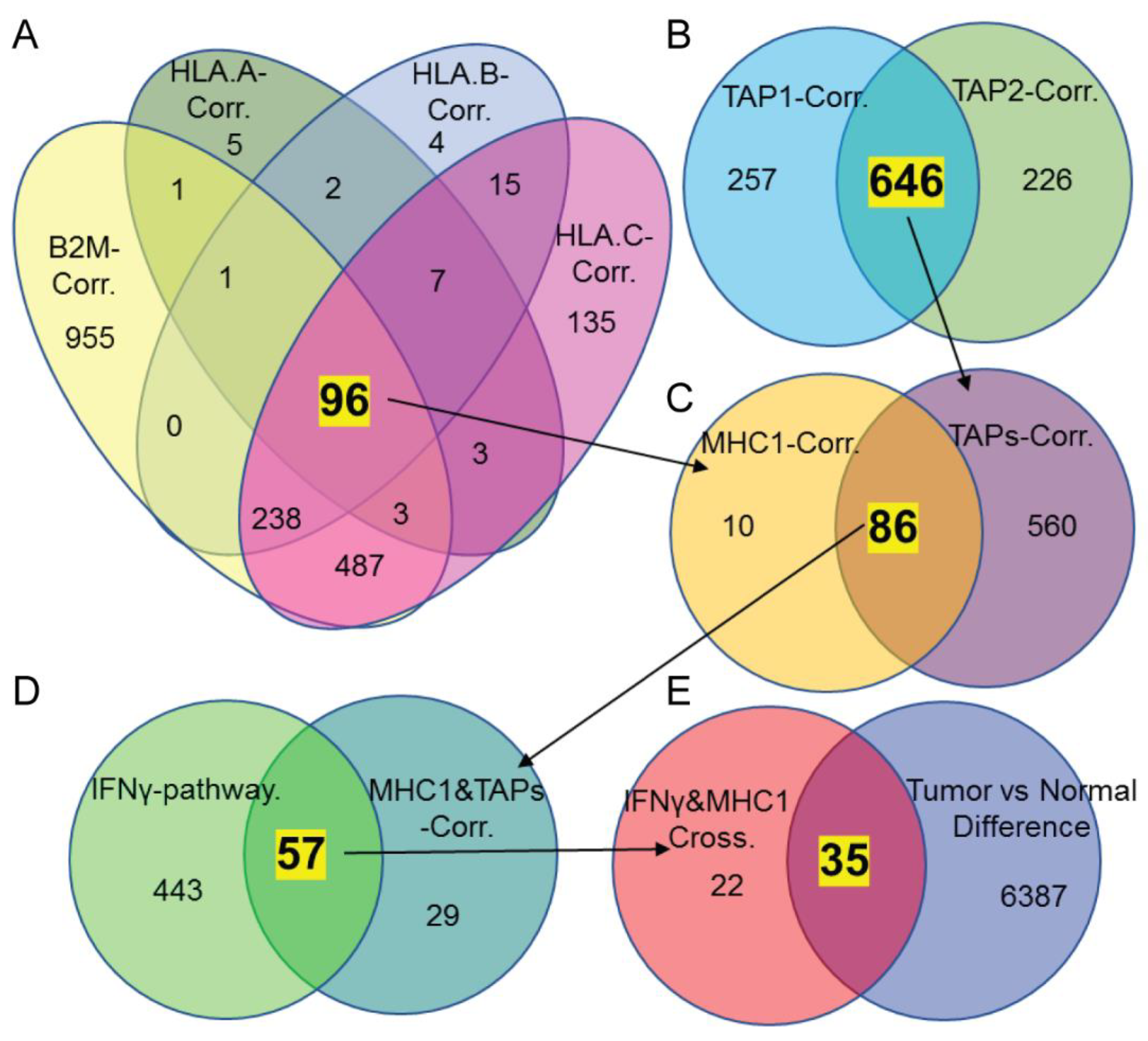 Biomedicines 10 03092 g002