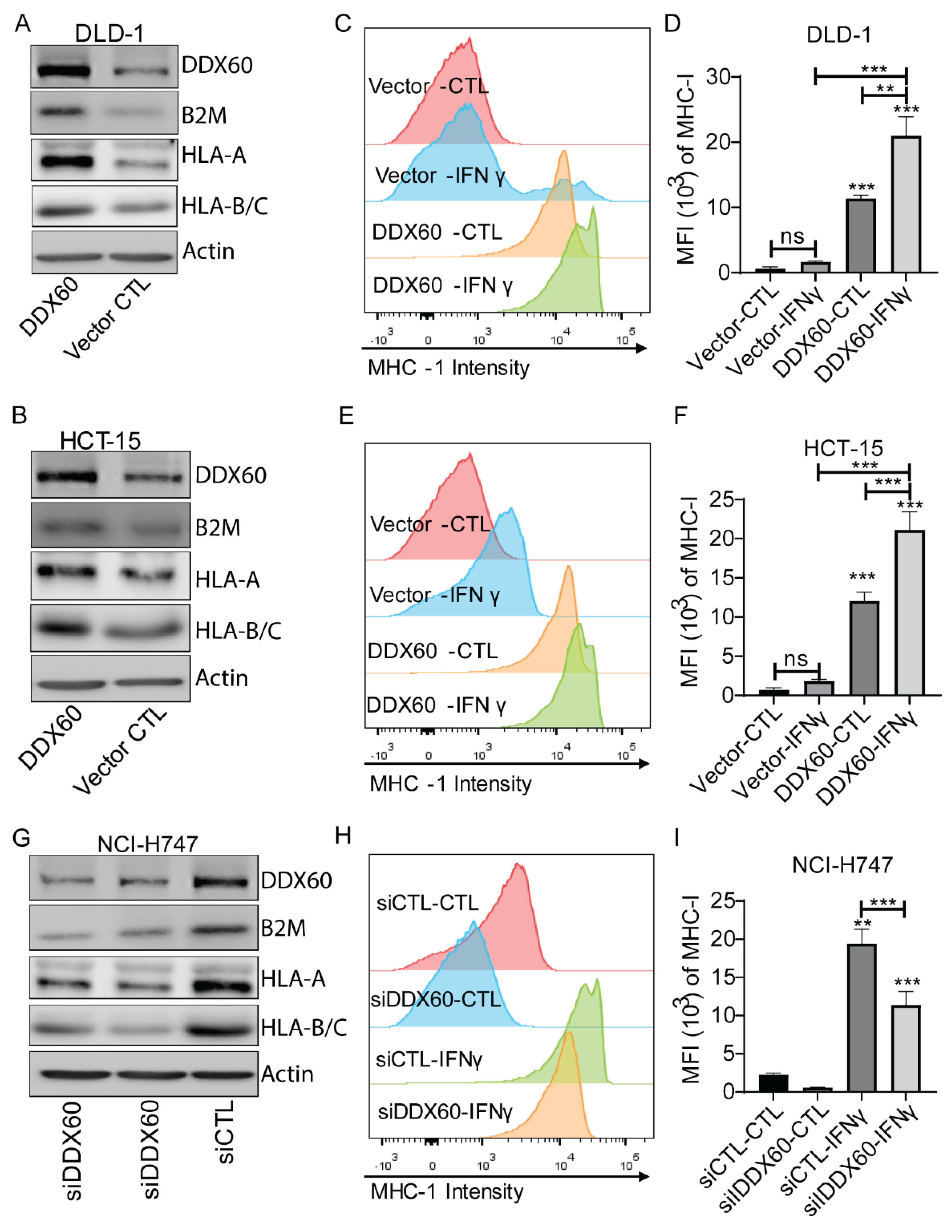 Biomedicines 10 03092 g004