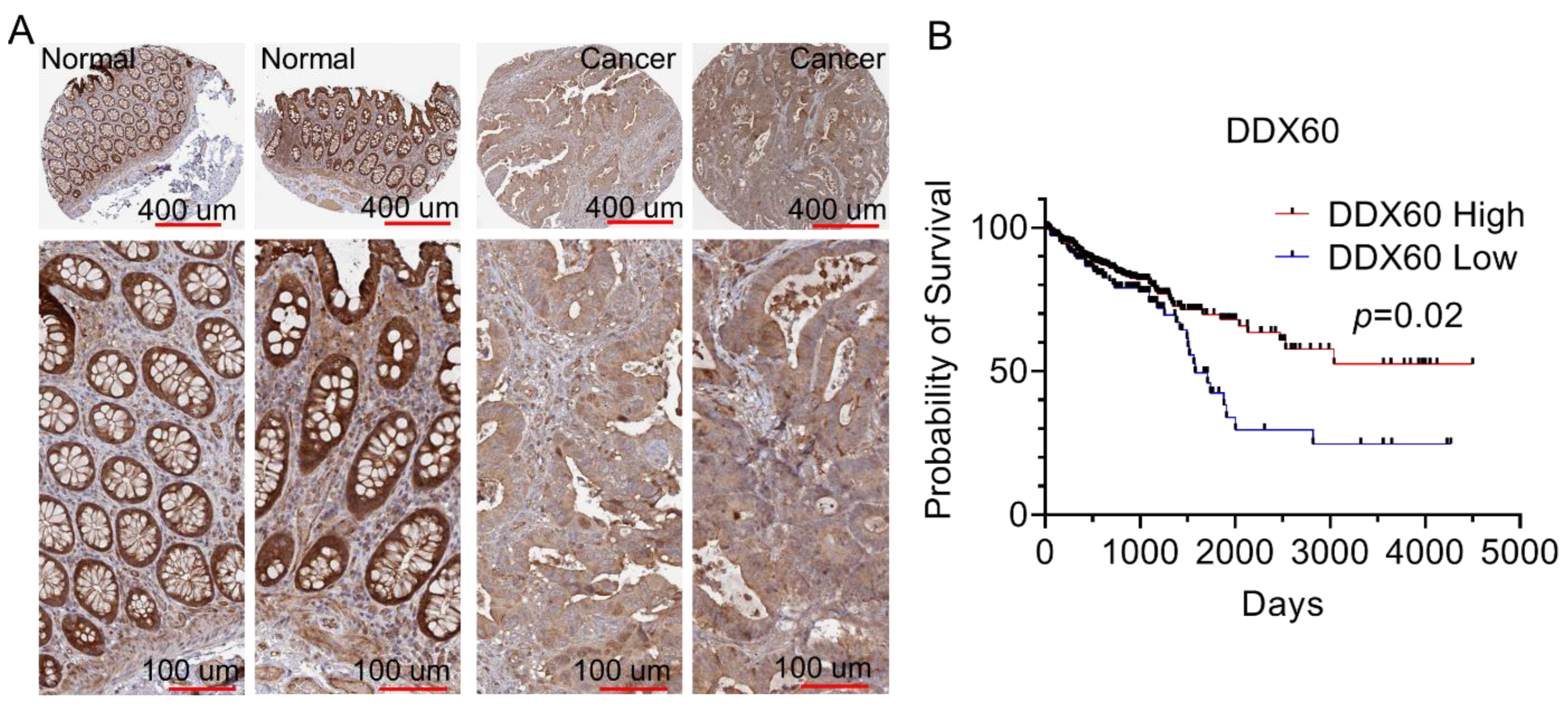 Biomedicines 10 03092 g005