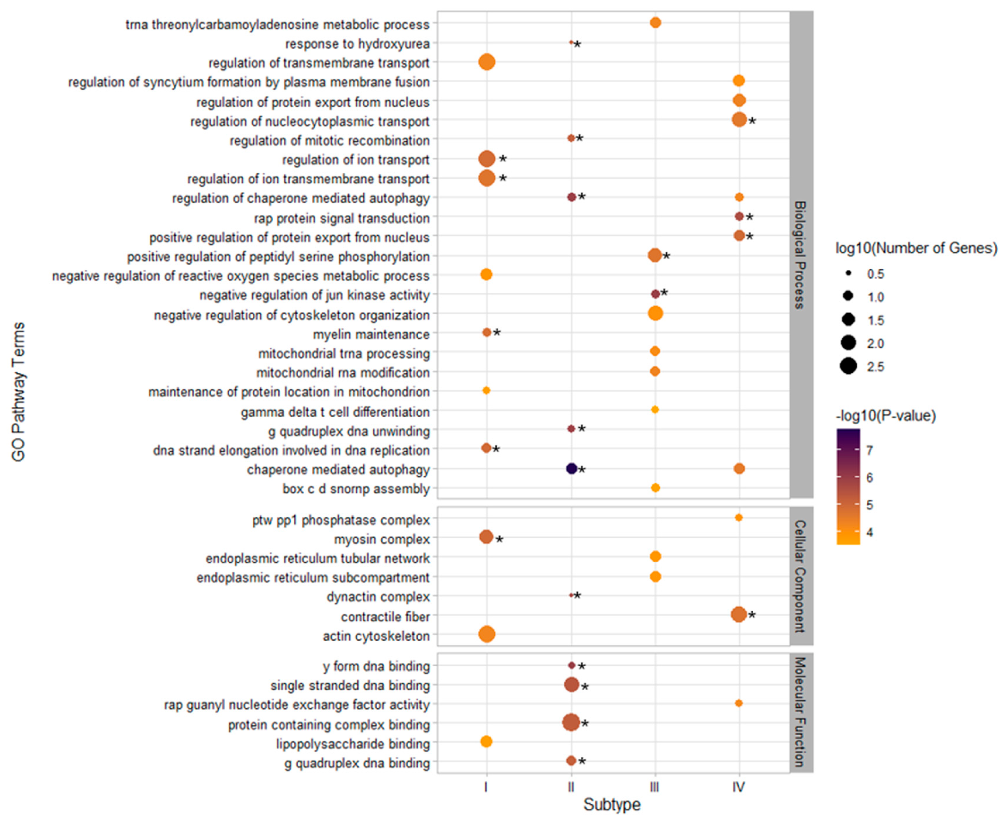 Biomedicines 10 03093 g004