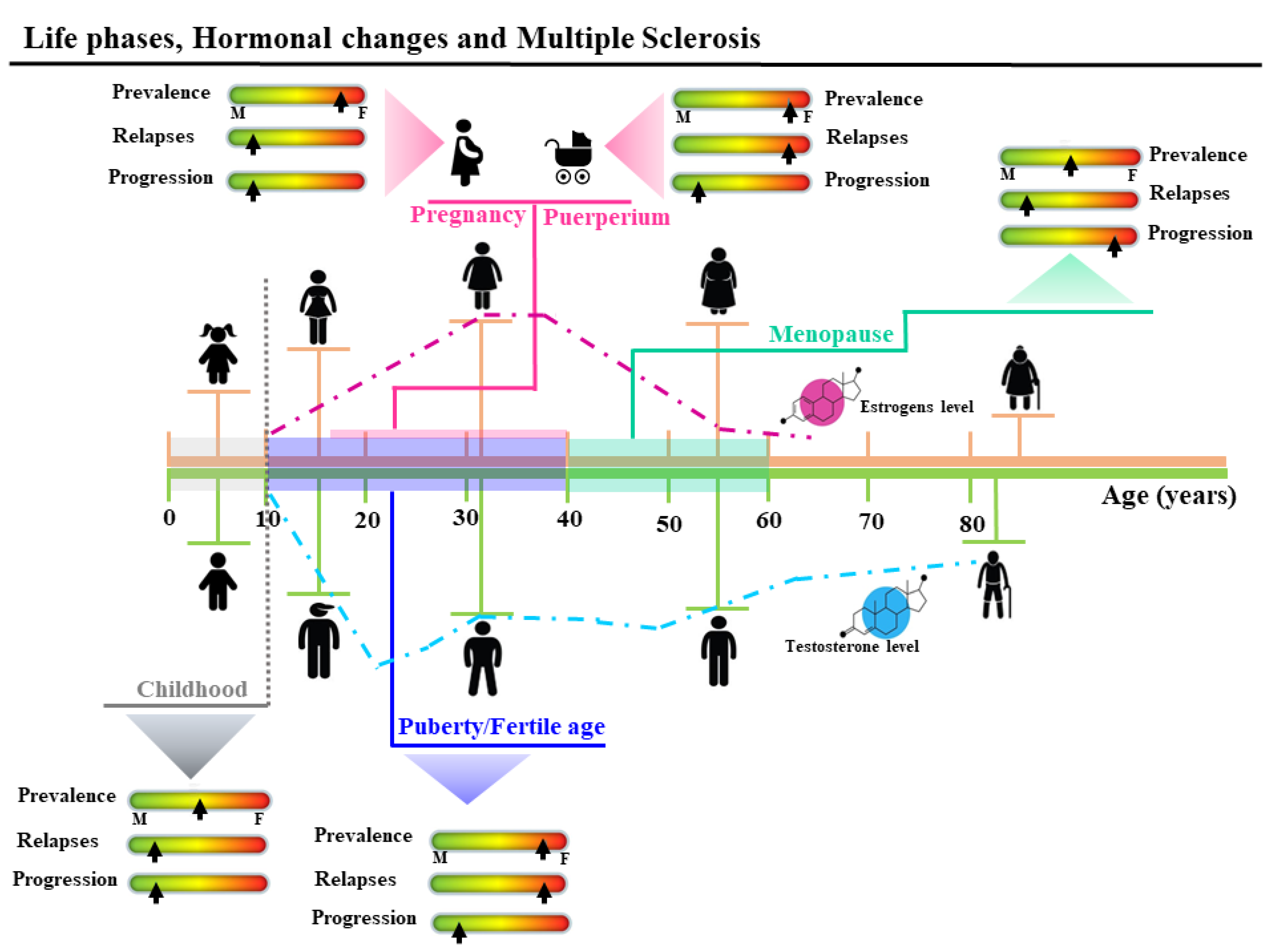 Biomedicines Free Full Text Sex Hormones As Key Modulators Of The