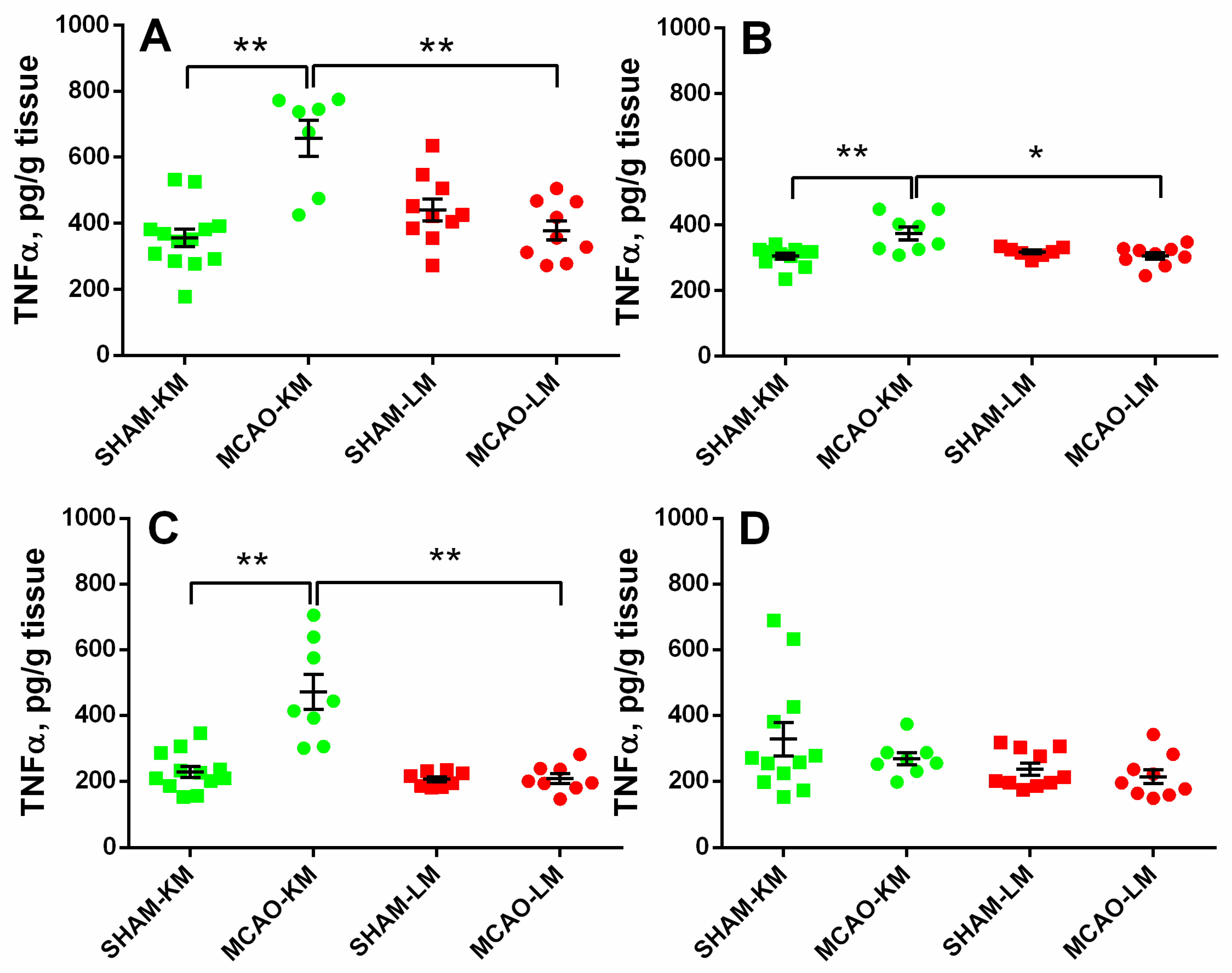 Biomedicines 10 03119 g005