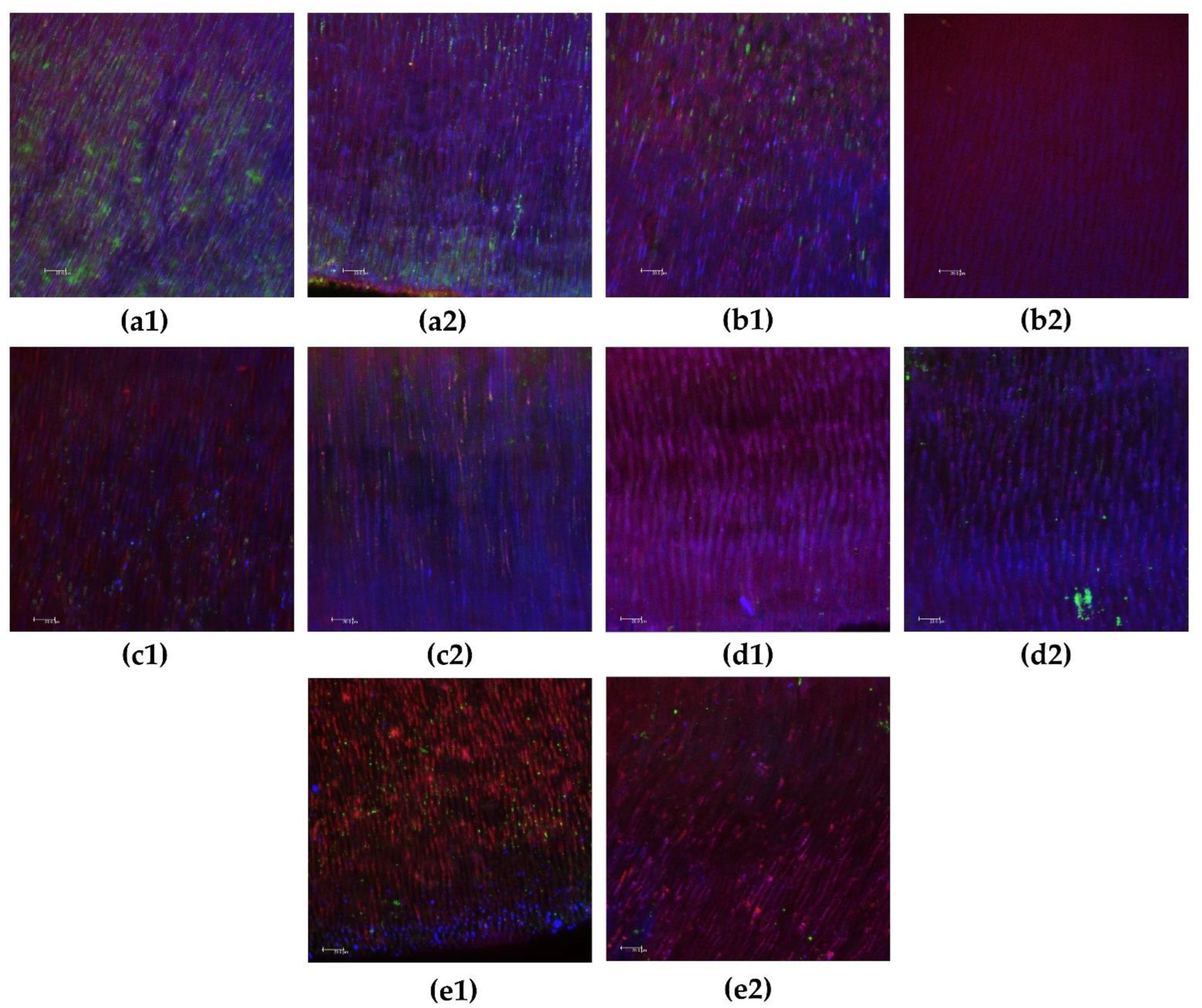 Biomedicines 10 03123 g003
