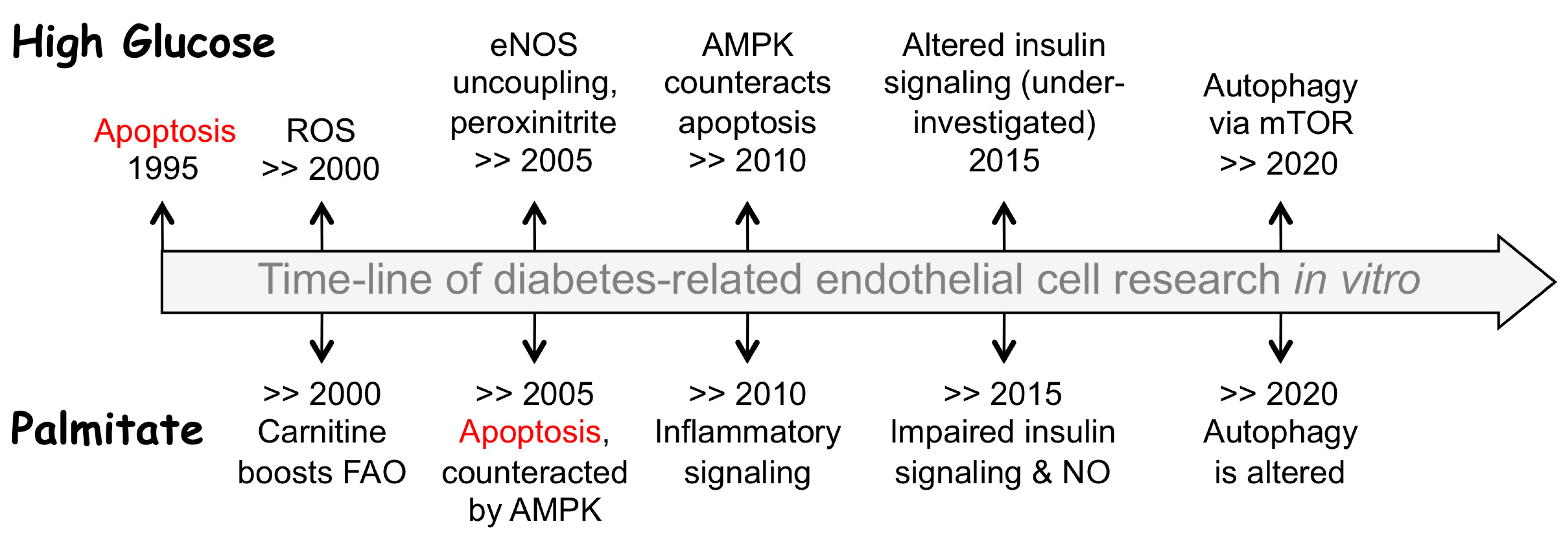 Biomedicines 10 03181 g001