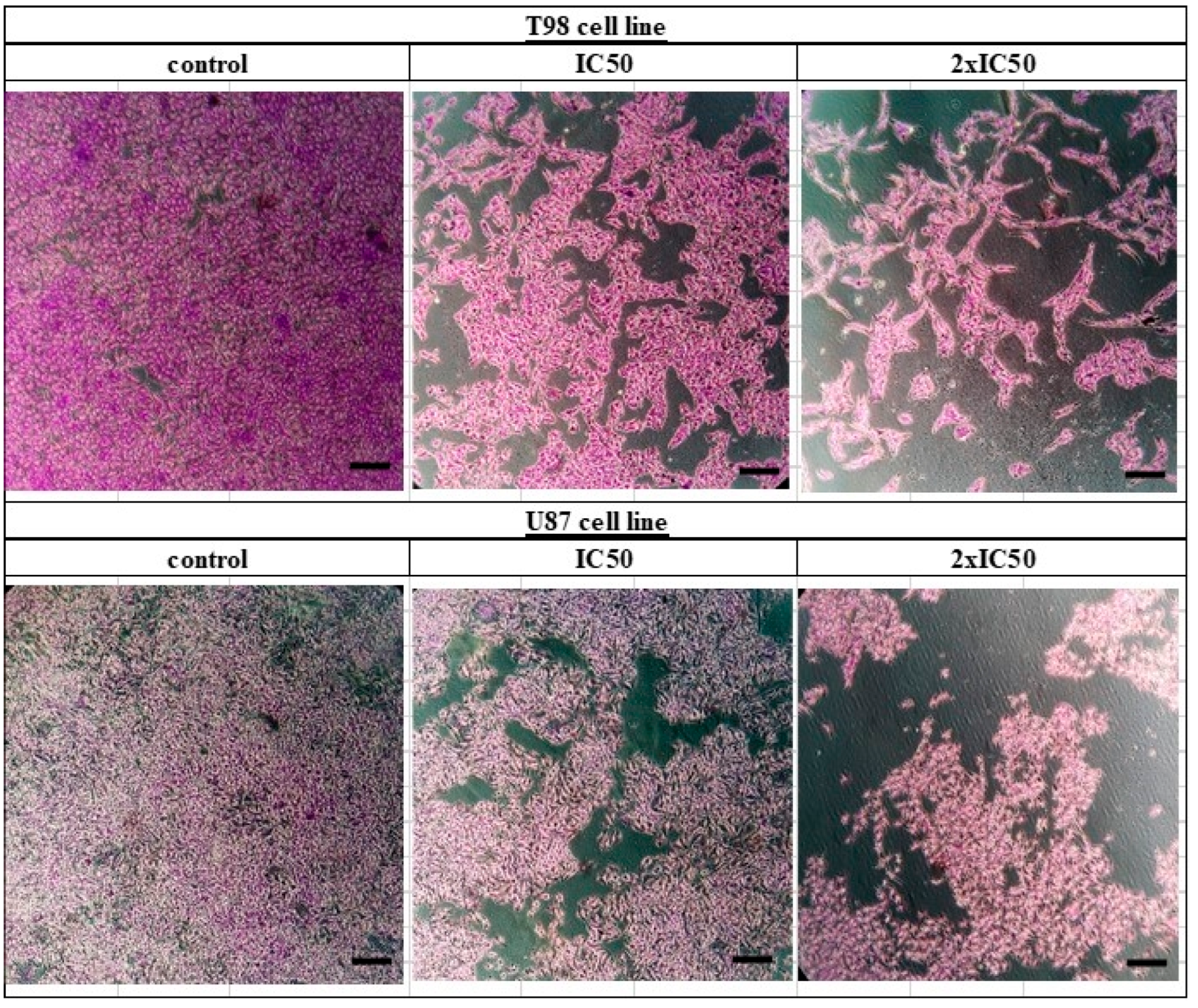 Biomedicines 10 03216 g003