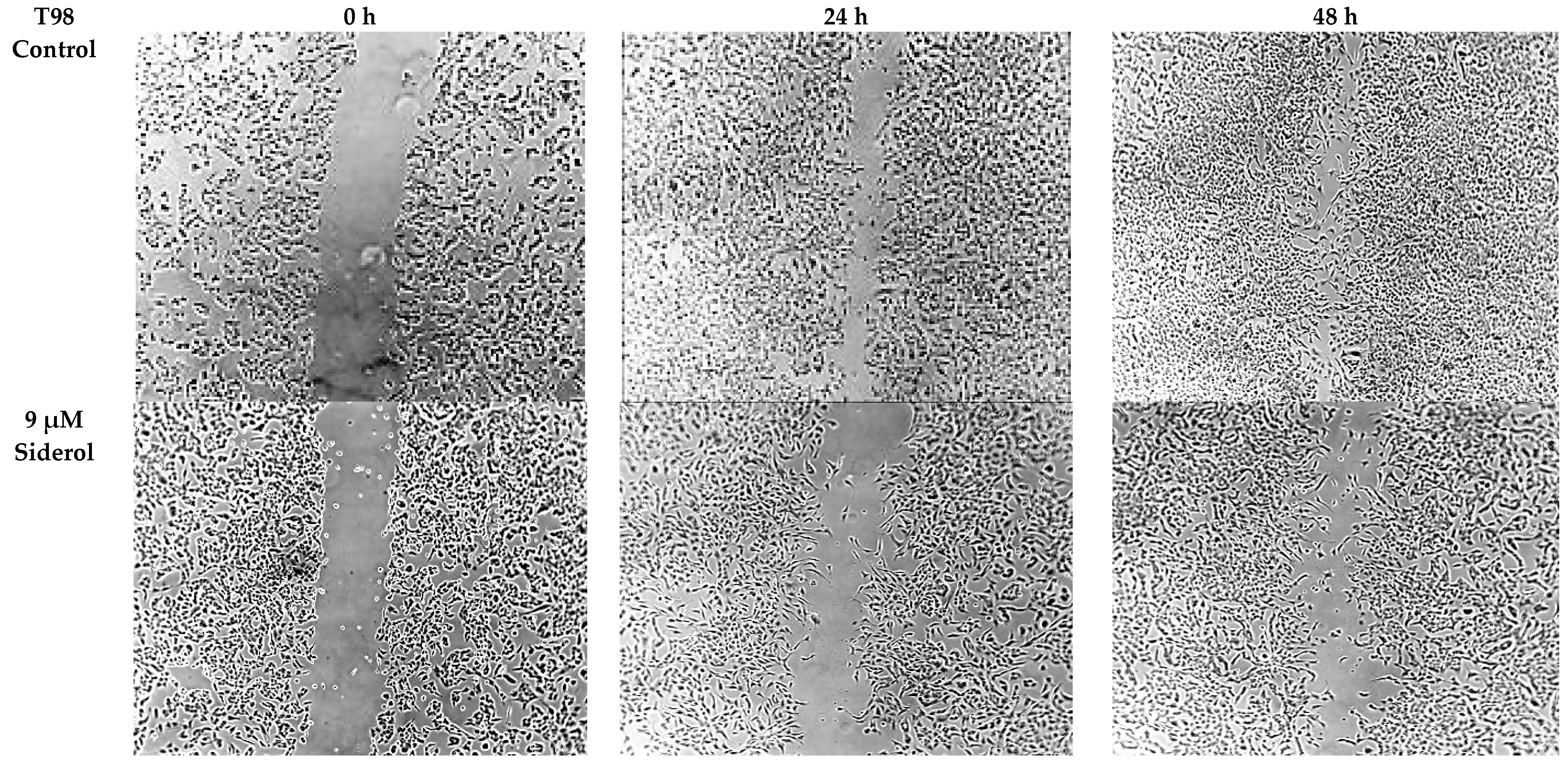 Biomedicines 10 03216 g008a