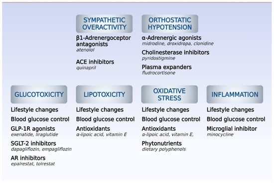 Diabetes-Induced Cardiac Autonomic Neuropathy: Impact On Heart Function ...