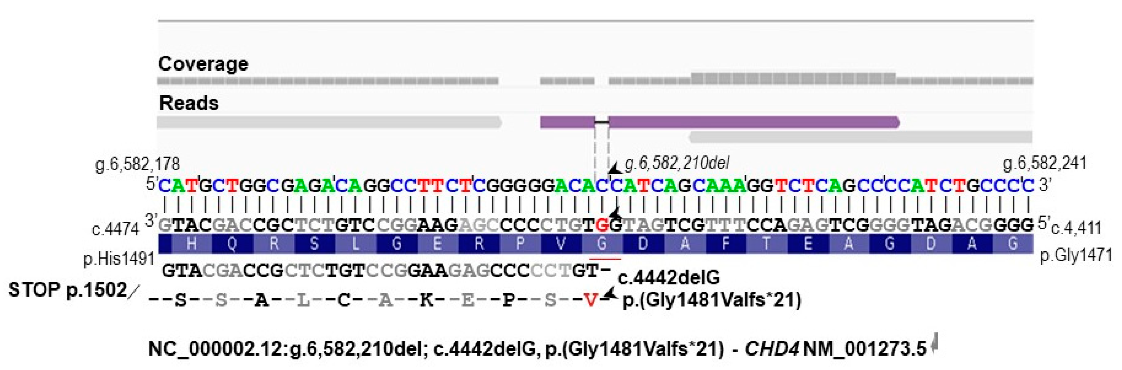 Biomedicines 11 00012 g003