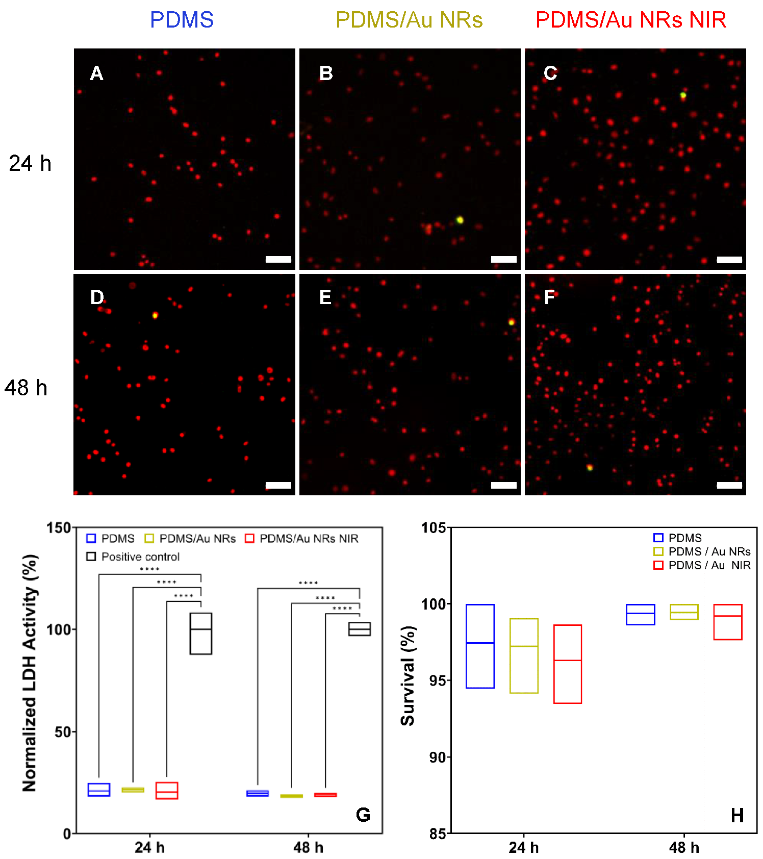 Biomedicines 11 00030 g002