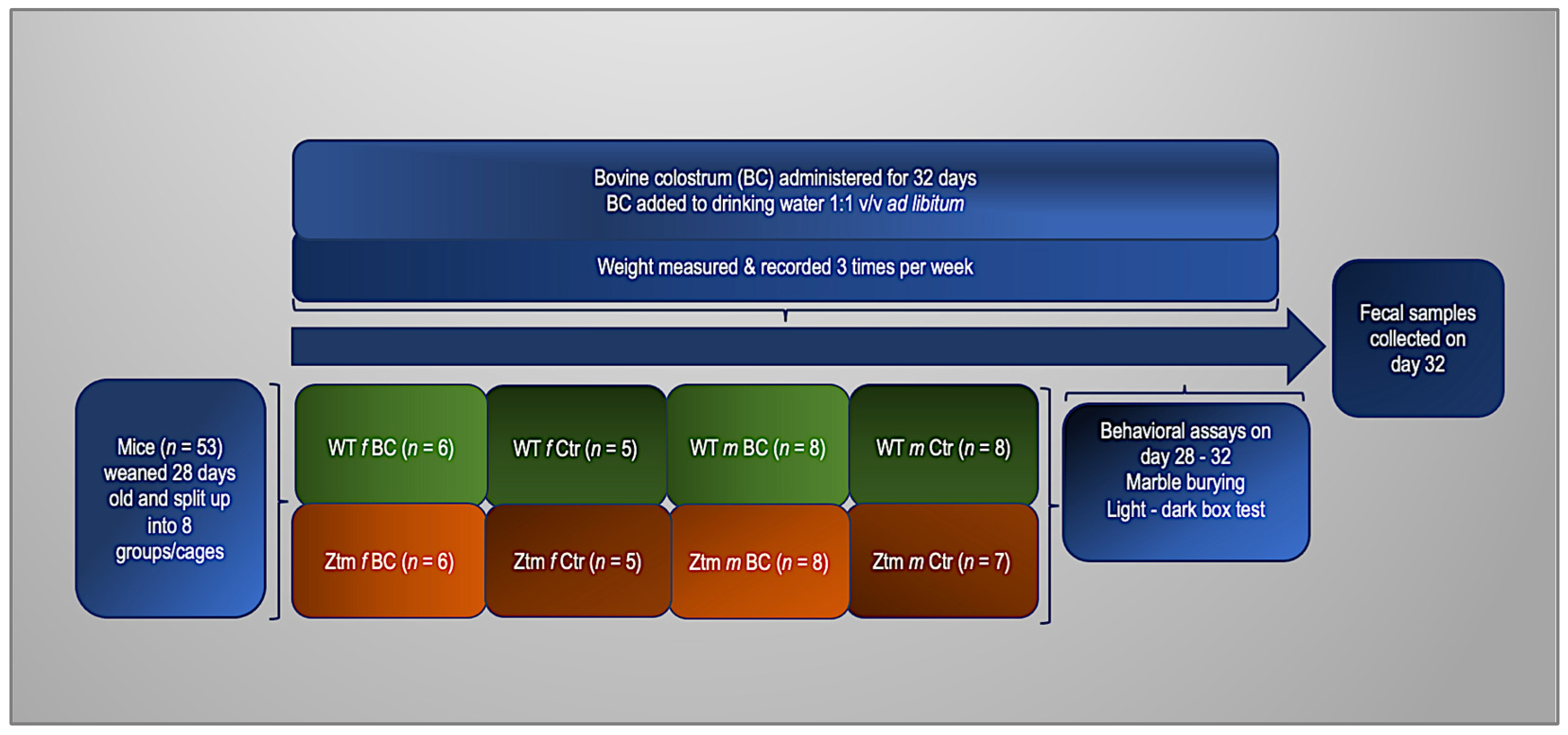 Biomedicines 11 00091 g001 Biomedicines 11 00091 g001