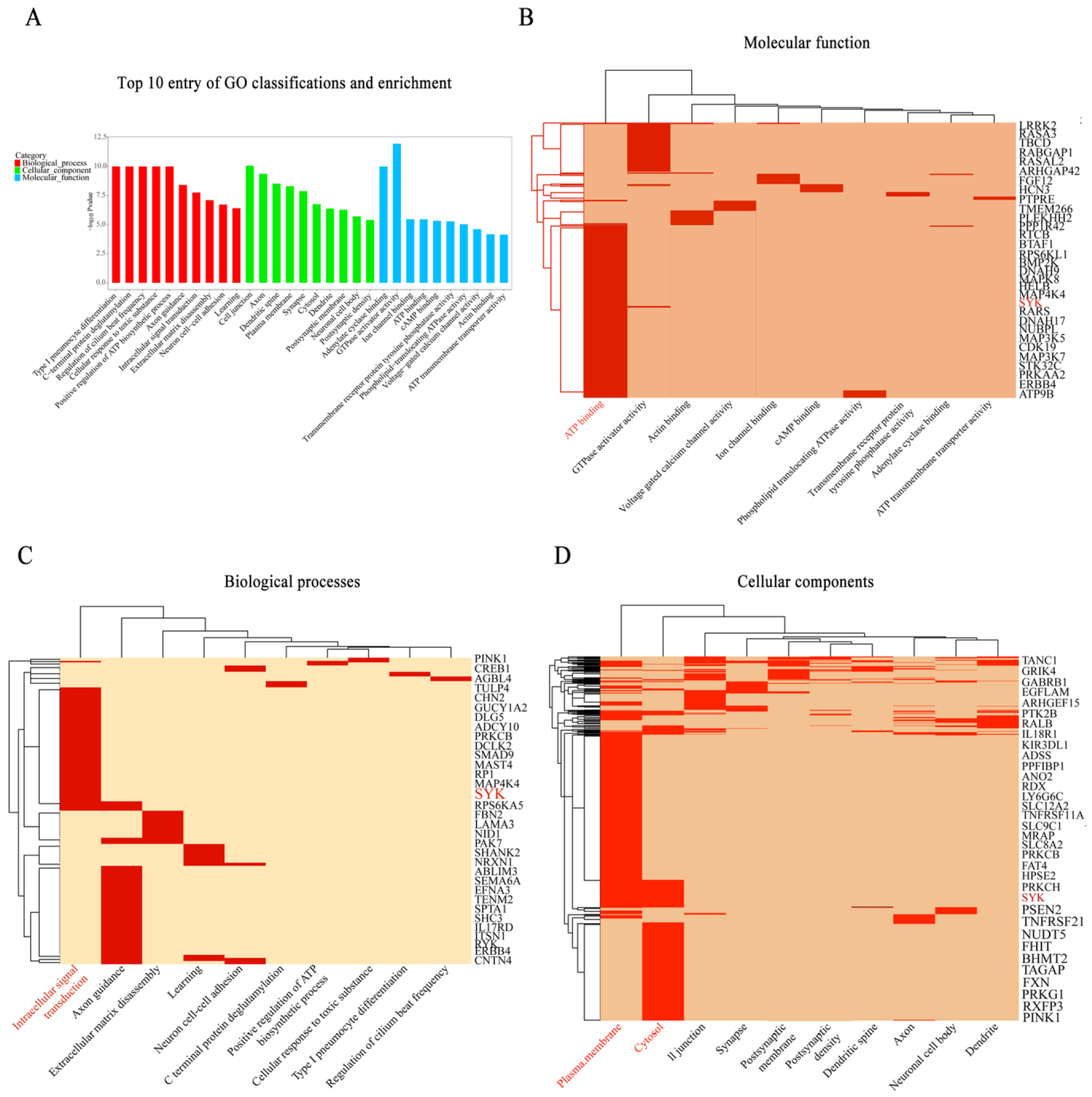Biomedicines 11 00097 g001