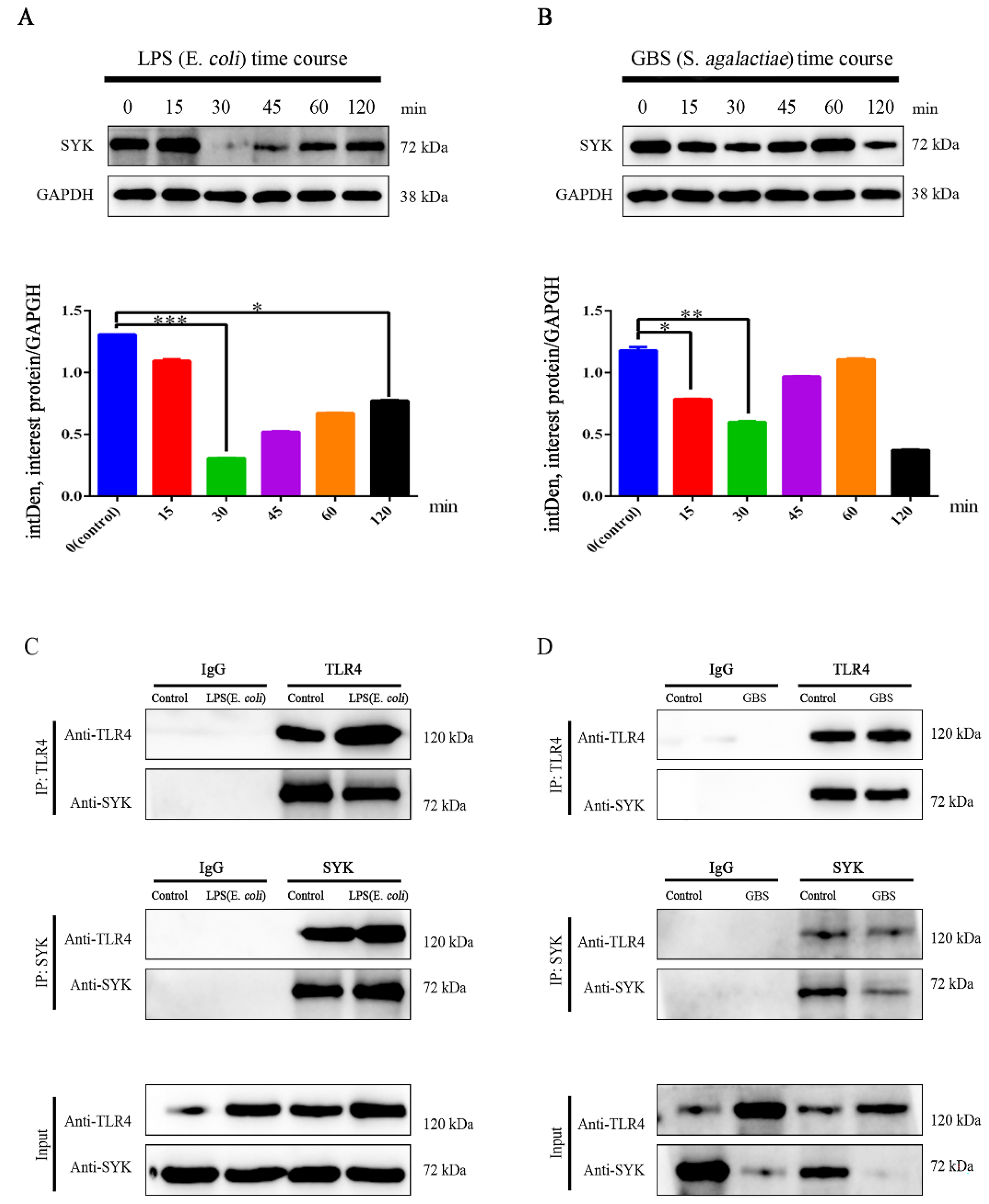 Biomedicines 11 00097 g005