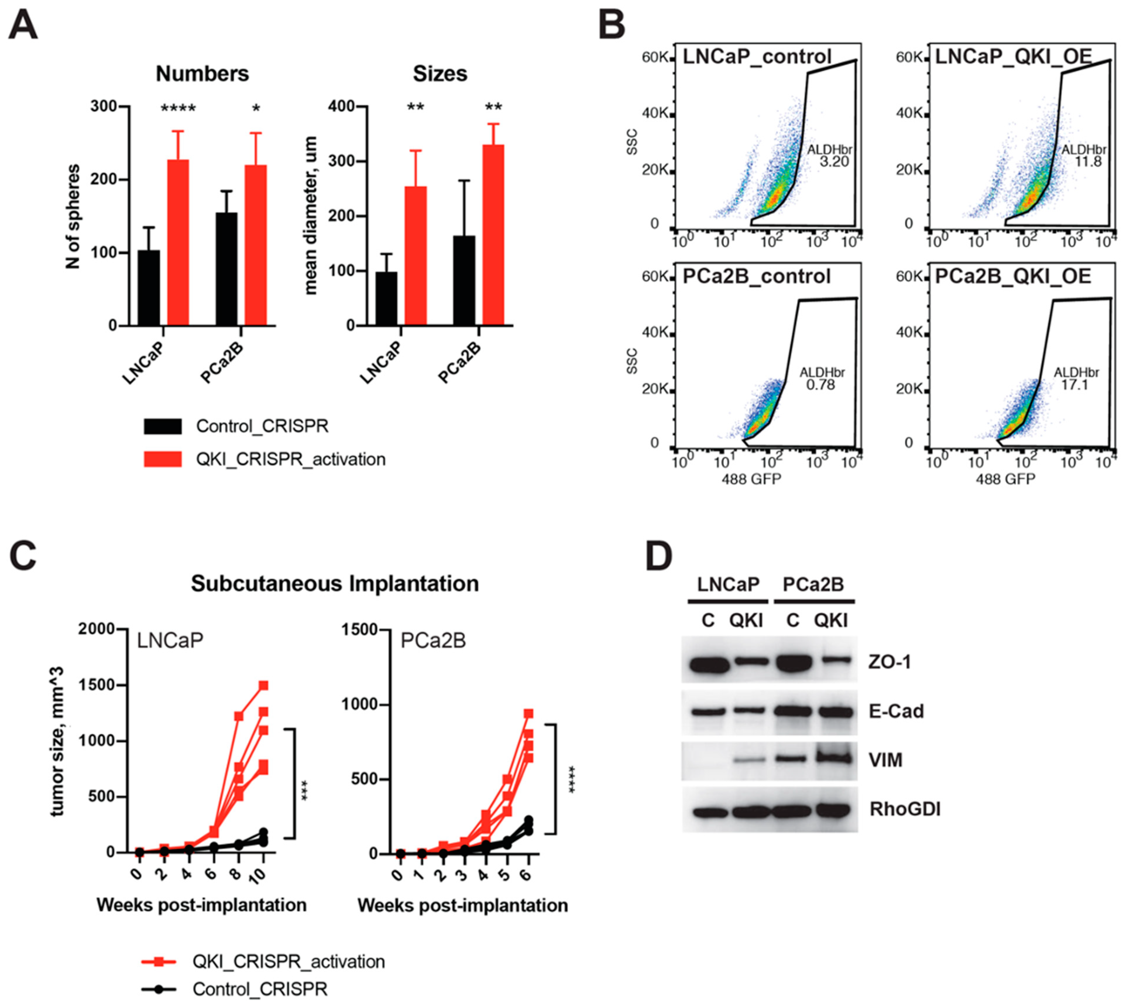 Biomedicines 11 00101 g003