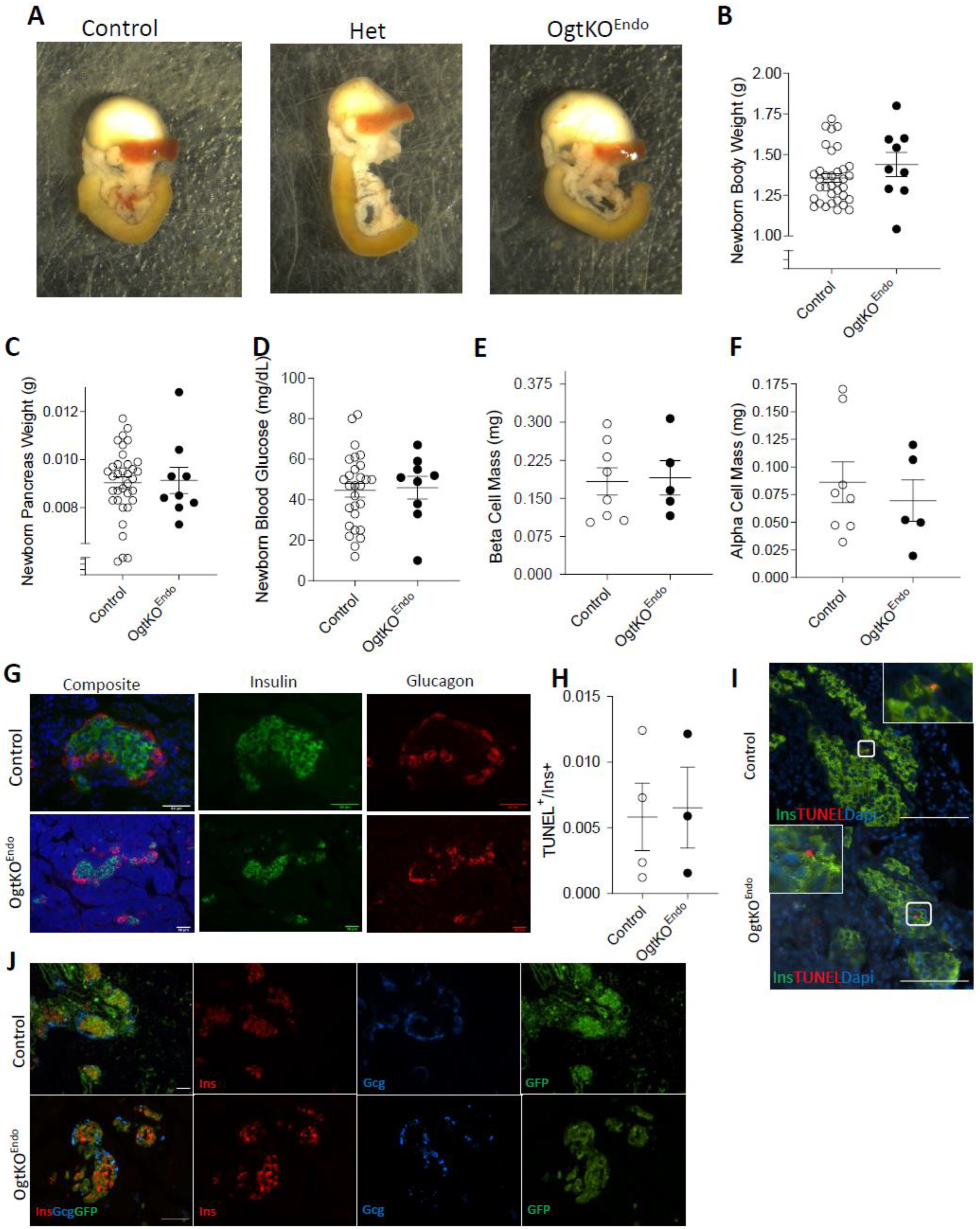 Biomedicines 11 00105 g001