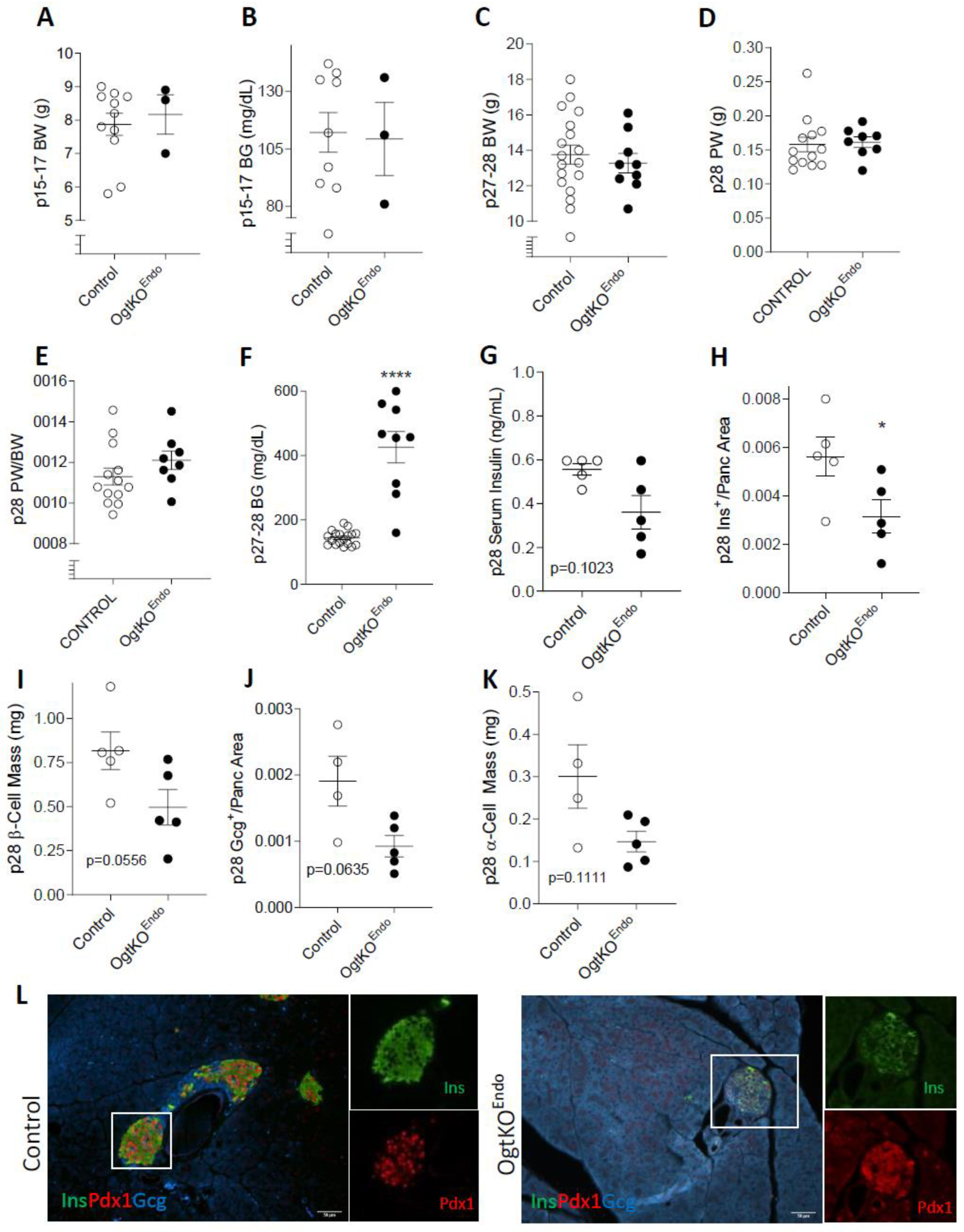Biomedicines 11 00105 g002