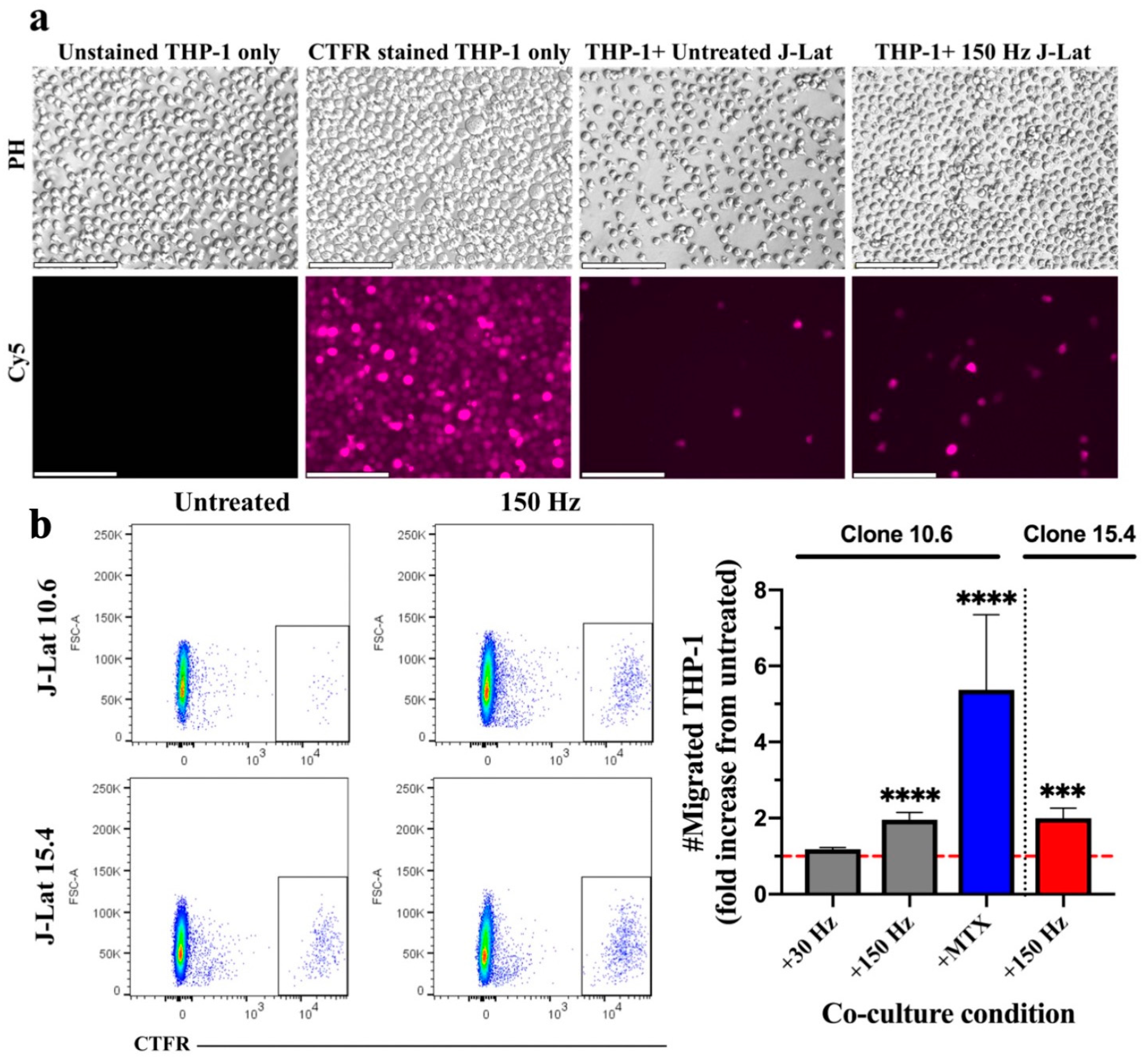 Biomedicines 11 00122 g001 Biomedicines 11 00122 g001