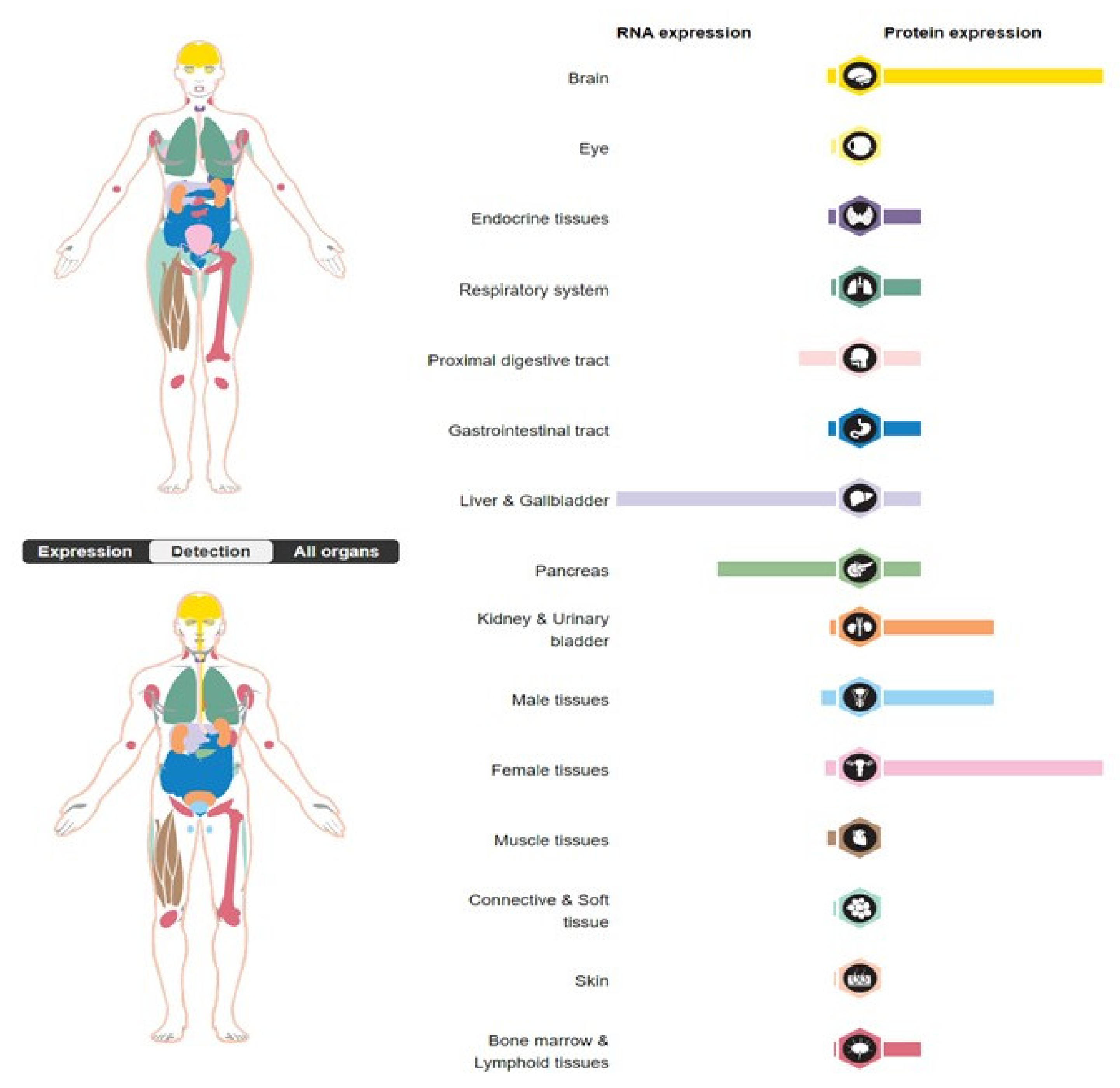 Biomedicines 11 00156 g002