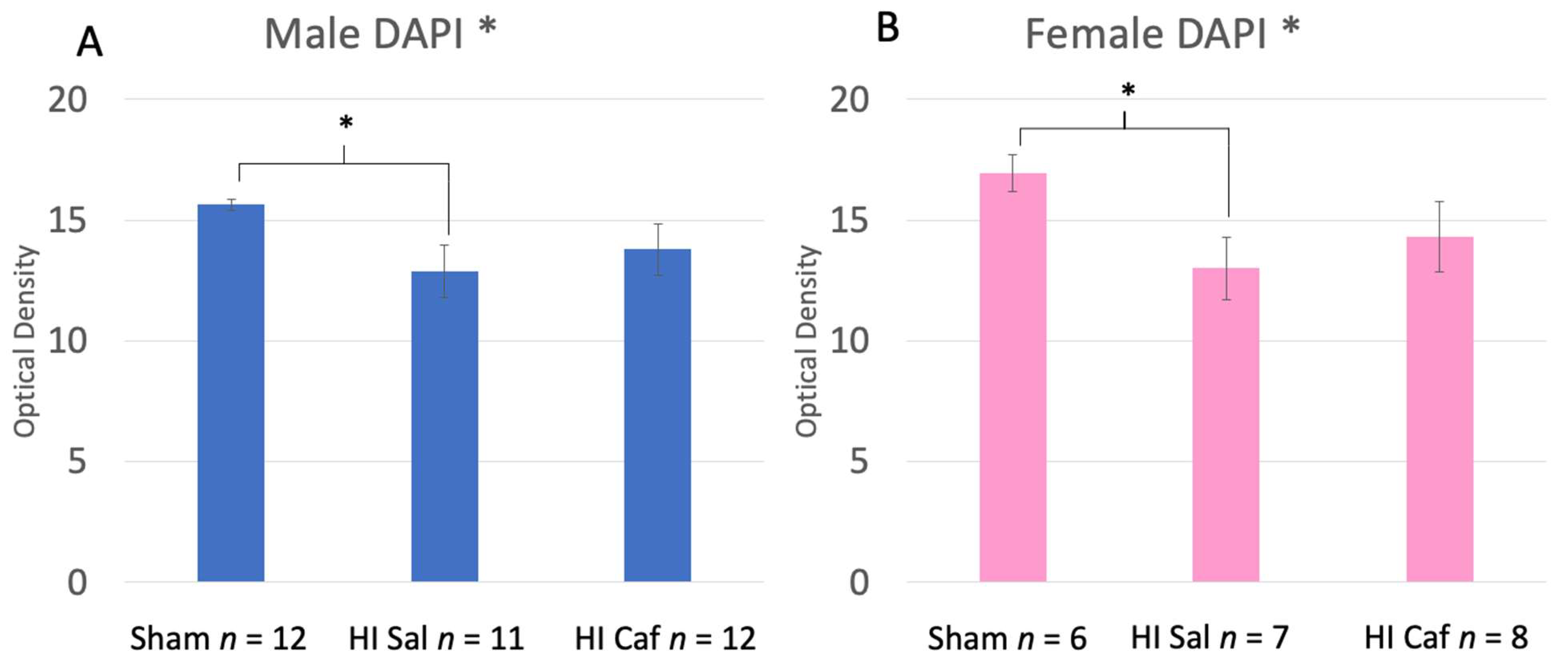 Biomedicines 11 00185 g003